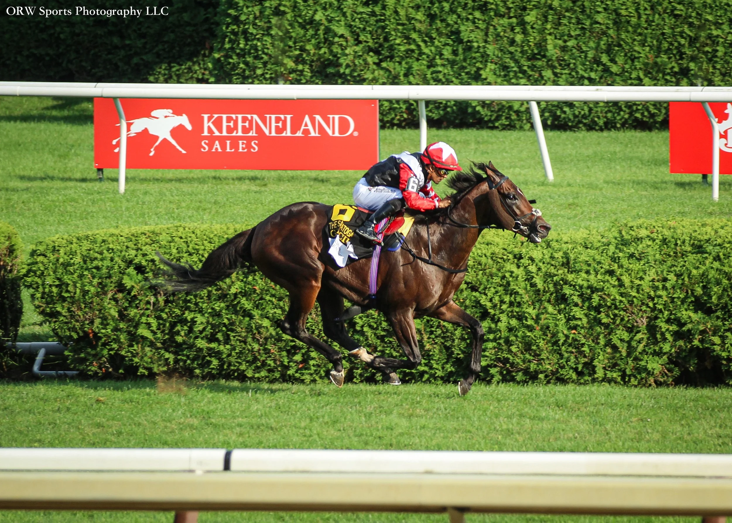 Glacius and Luis Saez take the Grade 1 Saratoga Derby 