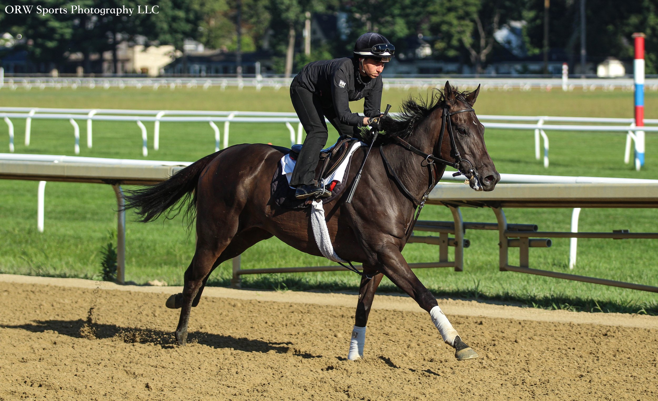 McGaughey Trainee (7) .jpg