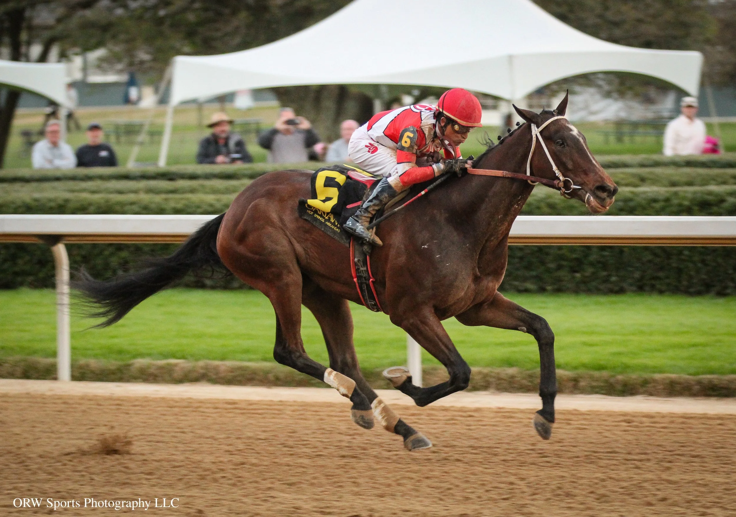 Seventies Music and Rafael Bejarano win the nightcap