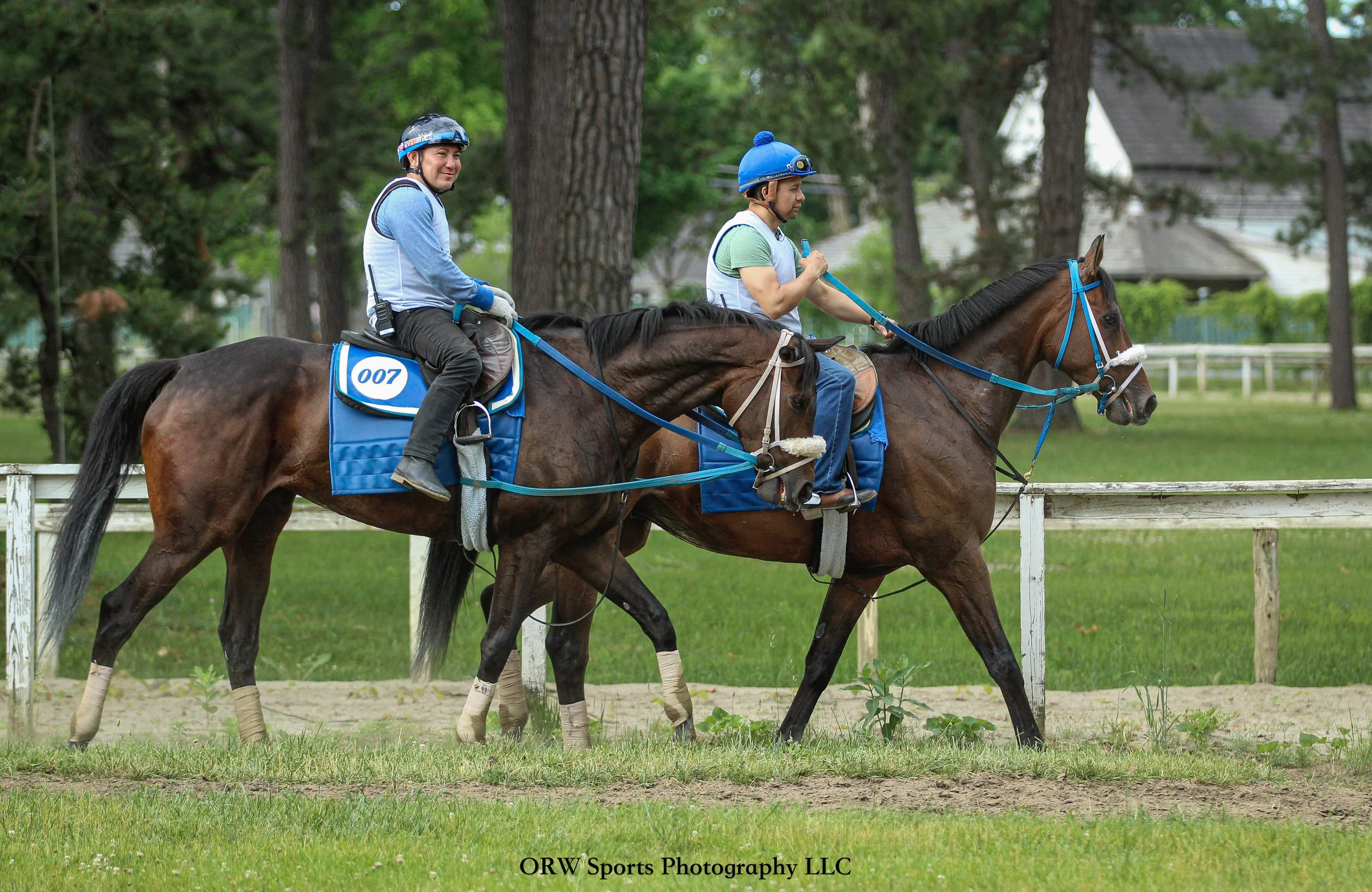 Purpose and Petrolo
