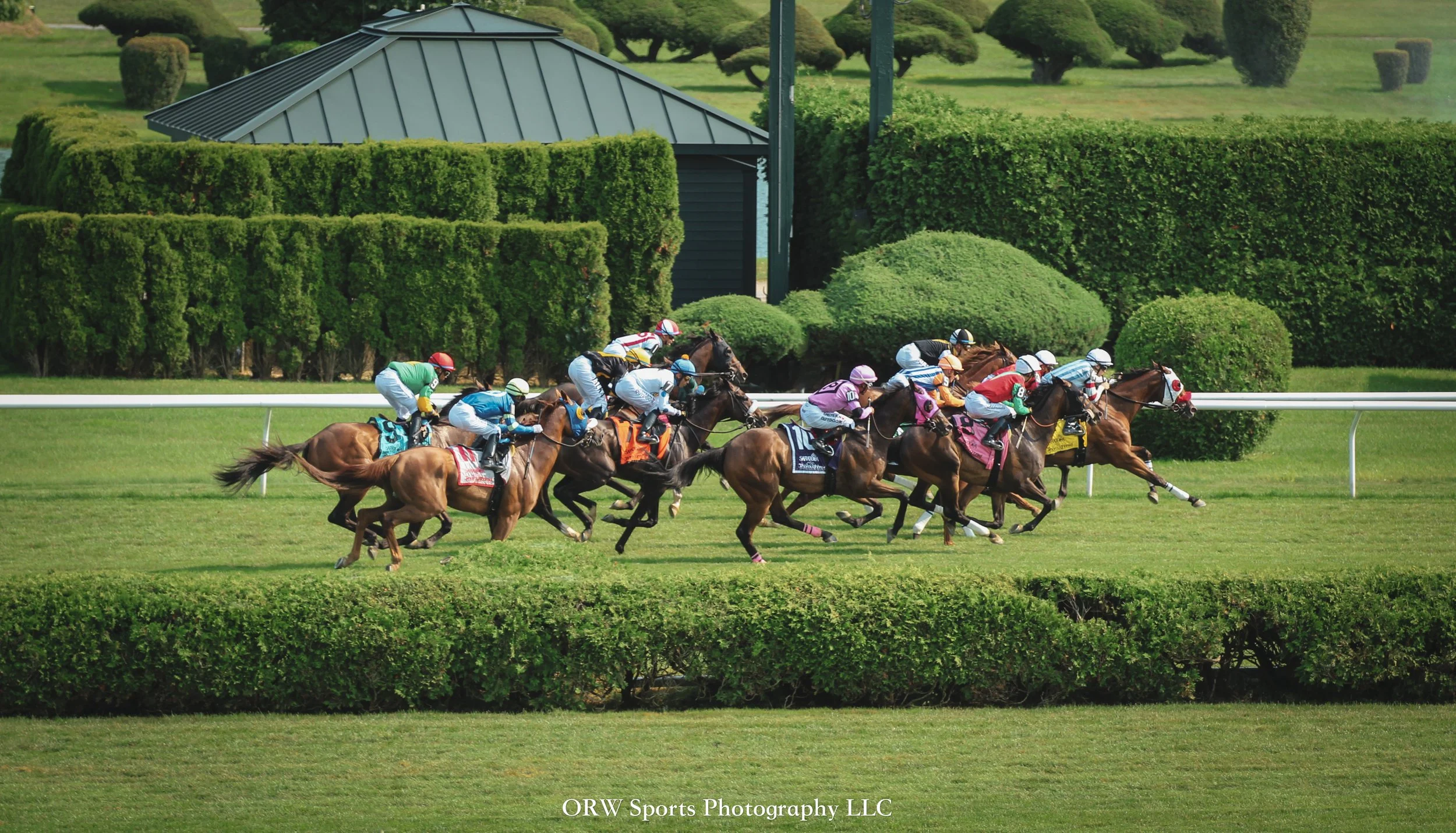 Race 6 