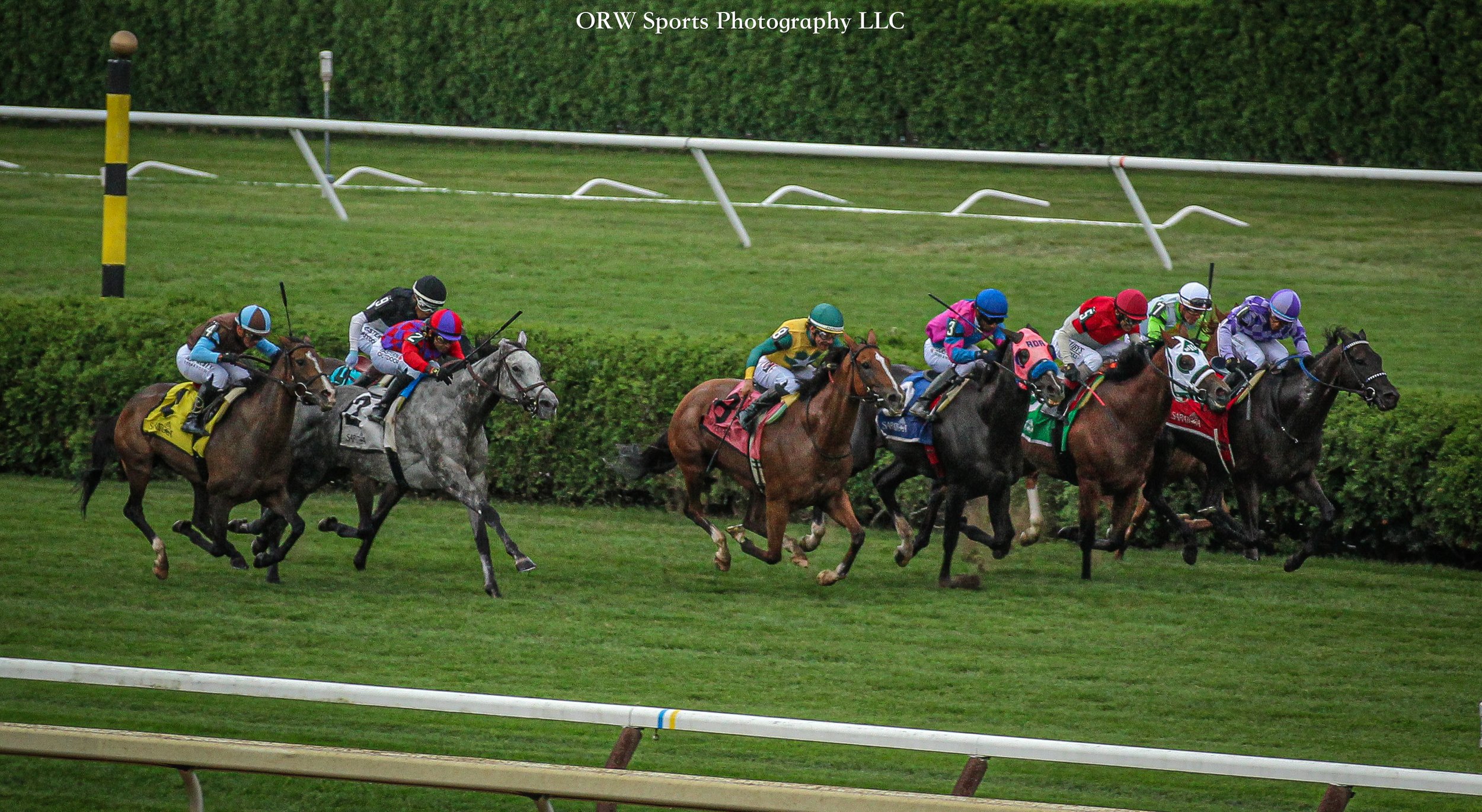The Yaddo Stakes. The race was won by Midnight Concerto. (Purple silks, red towel) 