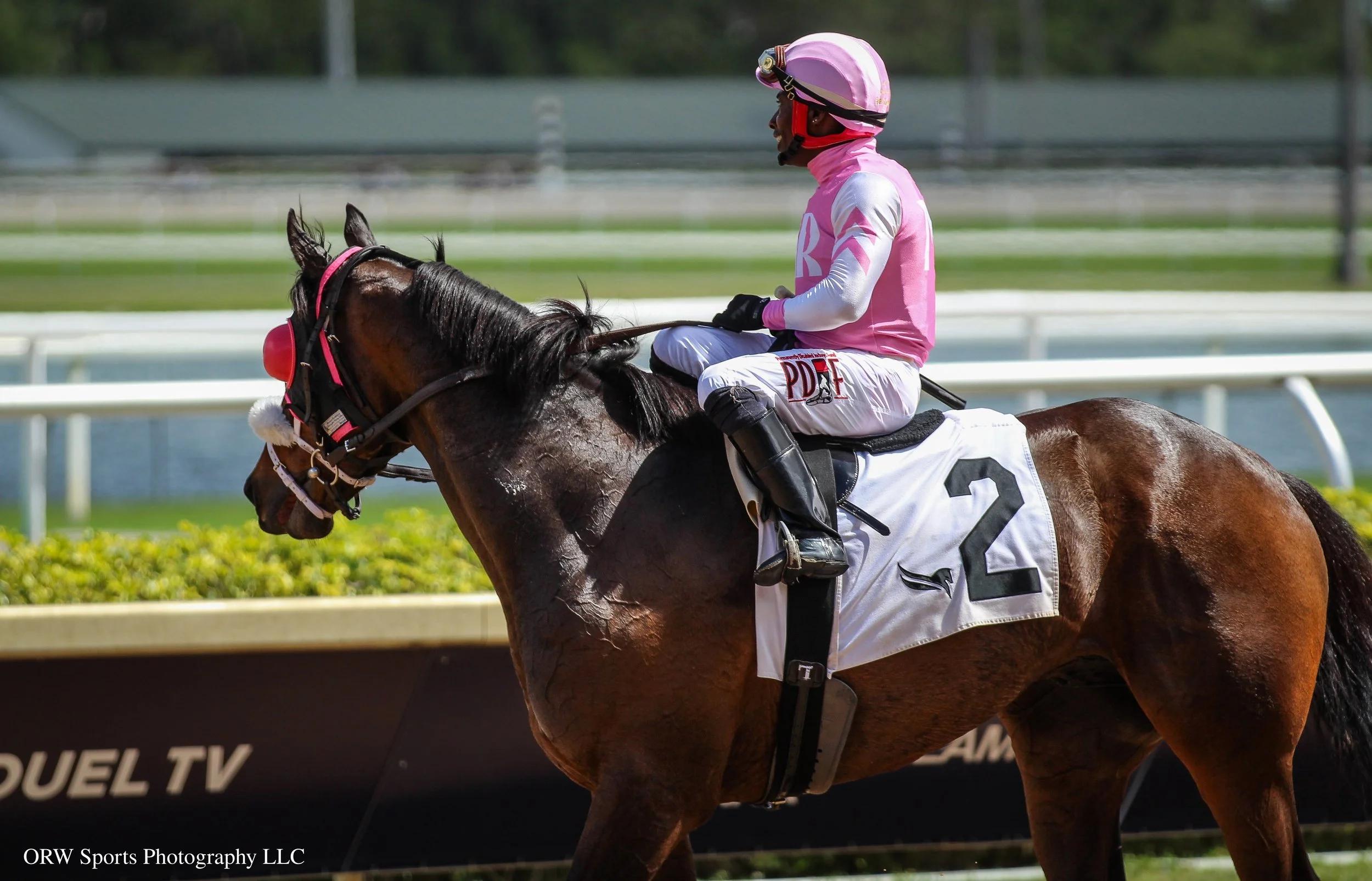 Broderick and Wesley Henry (3).jpg