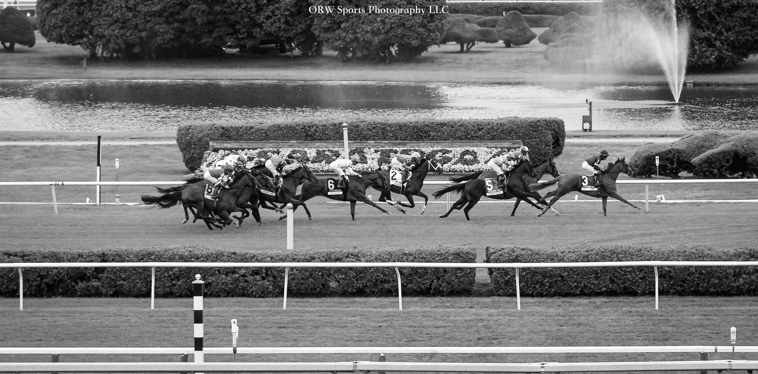 The Grade 1 Belmont Oaks 