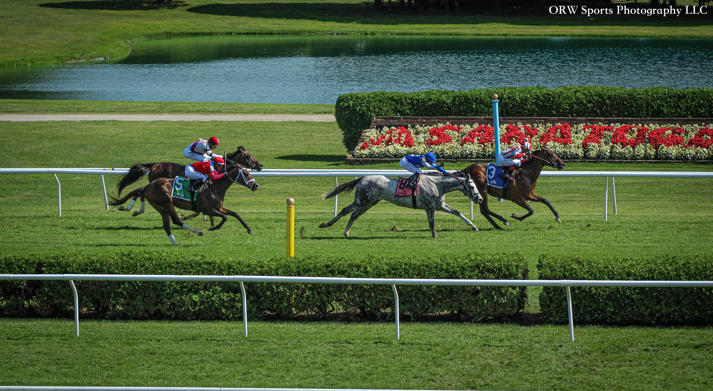 Race 6 