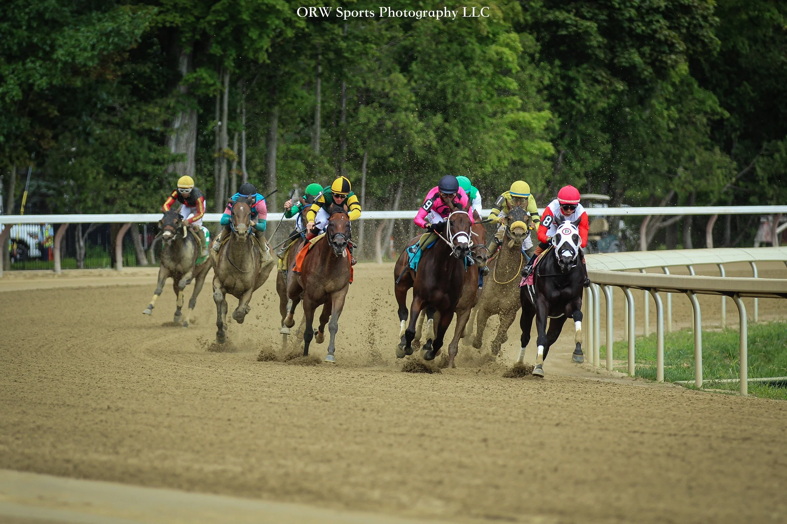 Race 5 