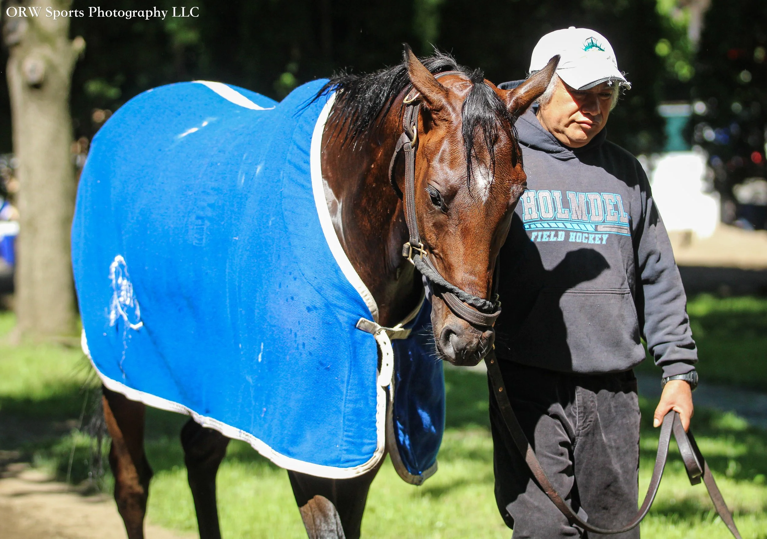 Tiffany's Gem. She ran second in her most recent start at Belmont At the Big A 