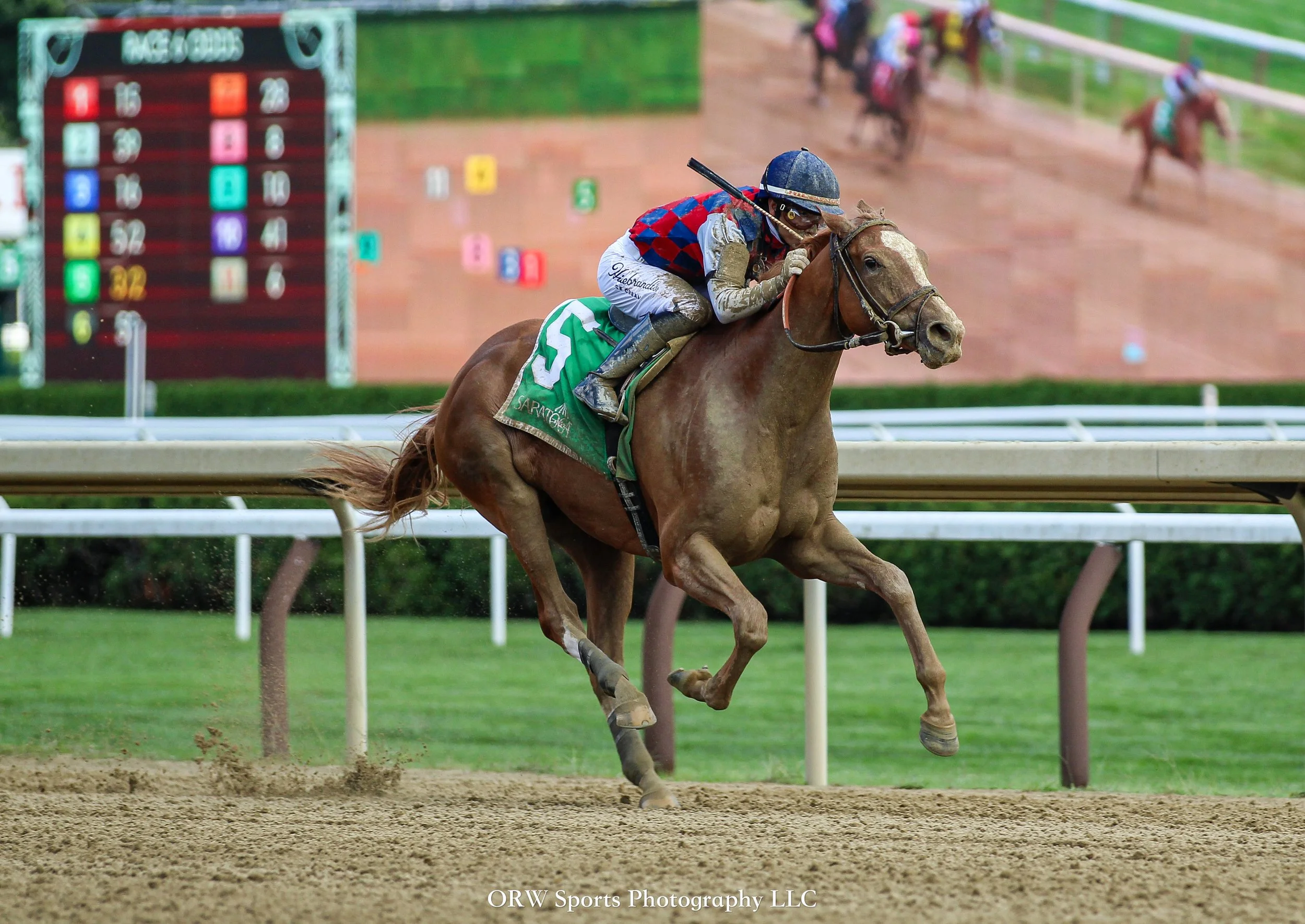 Forever Carina impresses on debut for trainer Chad Brown. Jose Ortiz aboard 