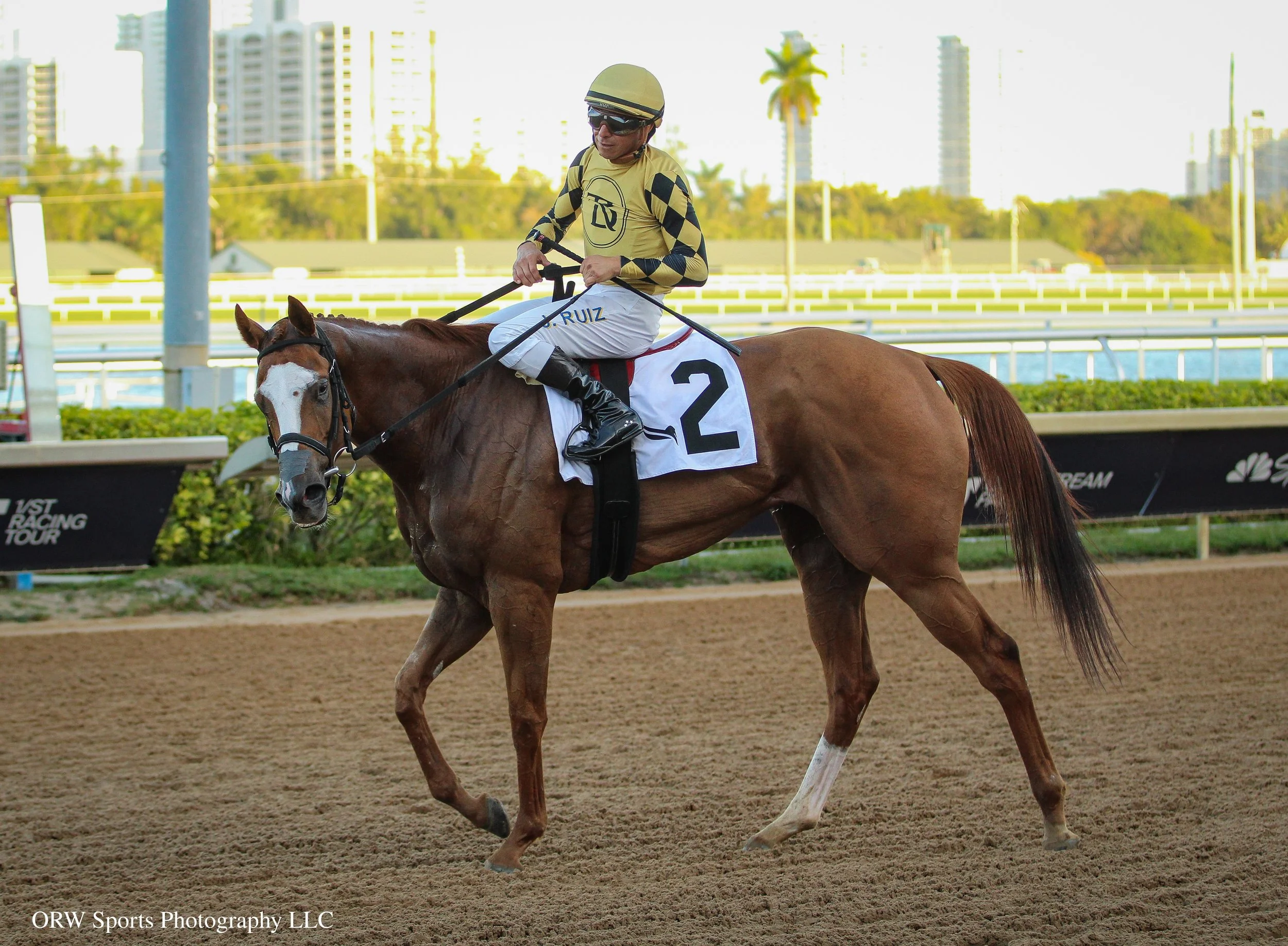 To a Flame and Jorge Ruiz (5).jpg