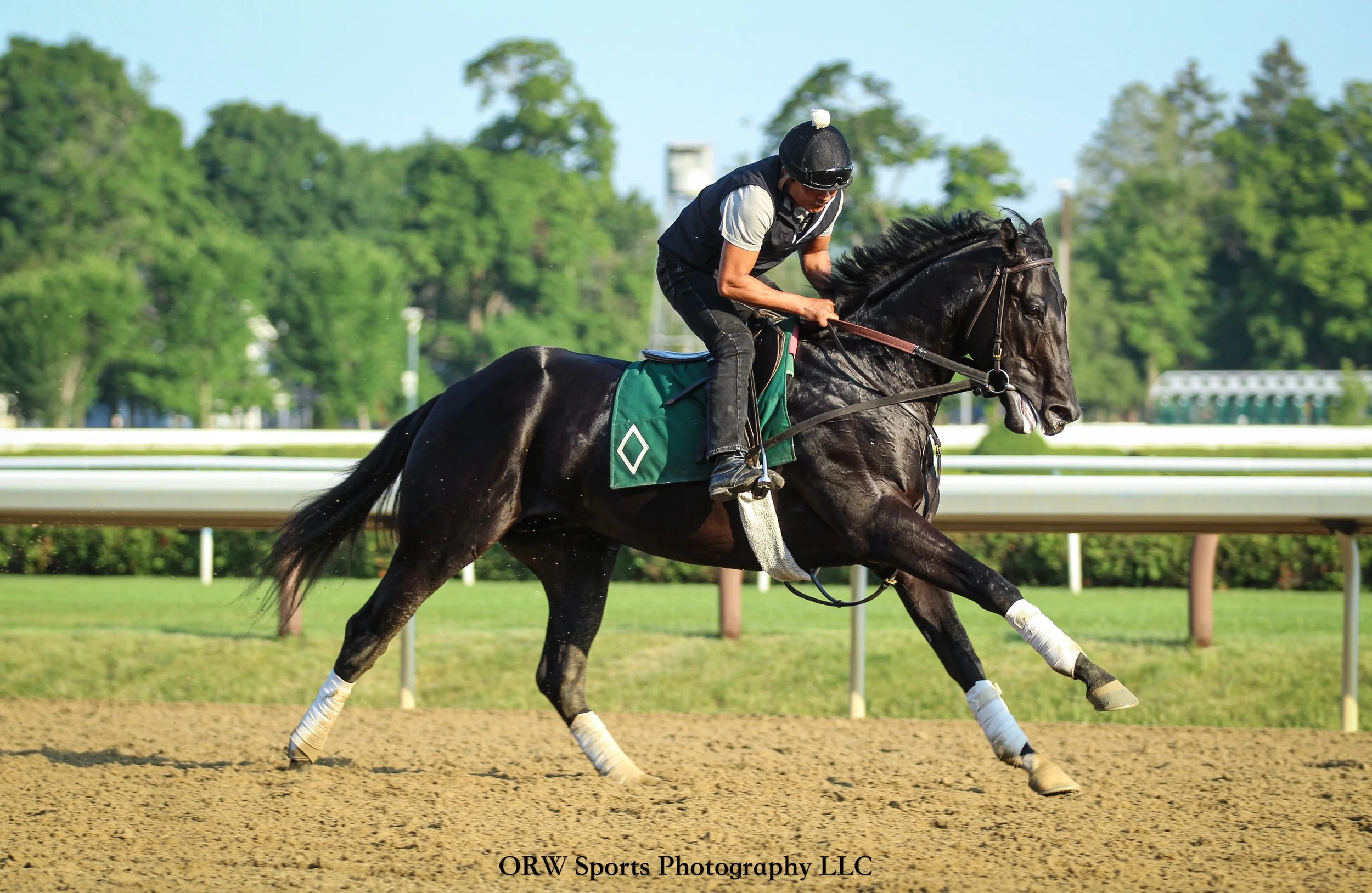 Bill Mott Trainee 
