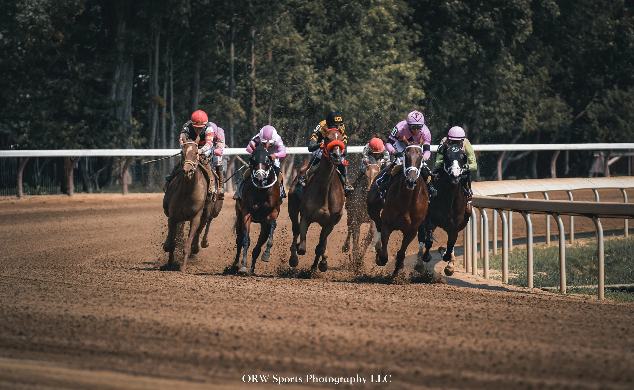 Race 3 