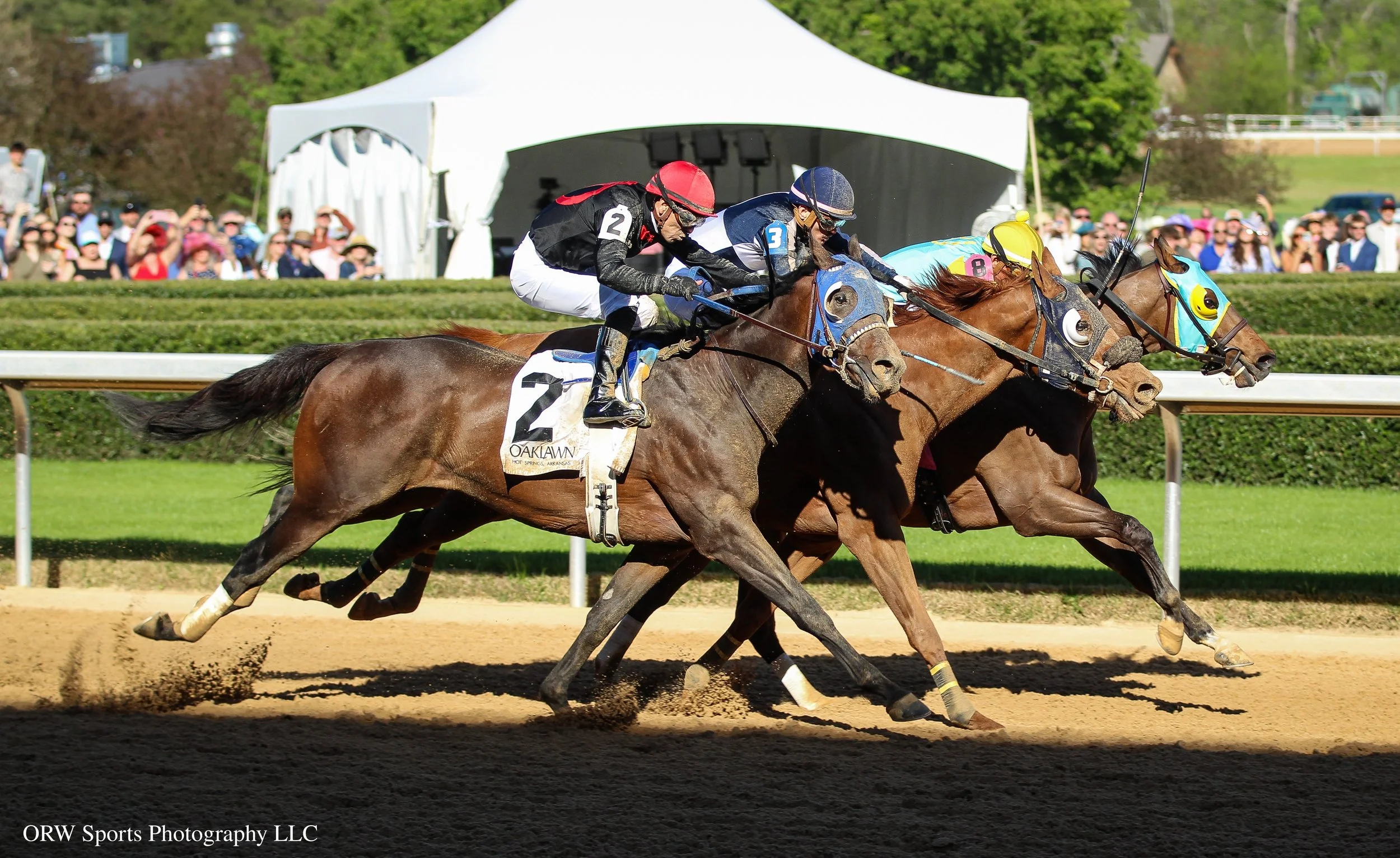 What a race and what a photo!! B. Sudd fends off Dr. Storm and Render Judgment to pull off the win at 80-1! 