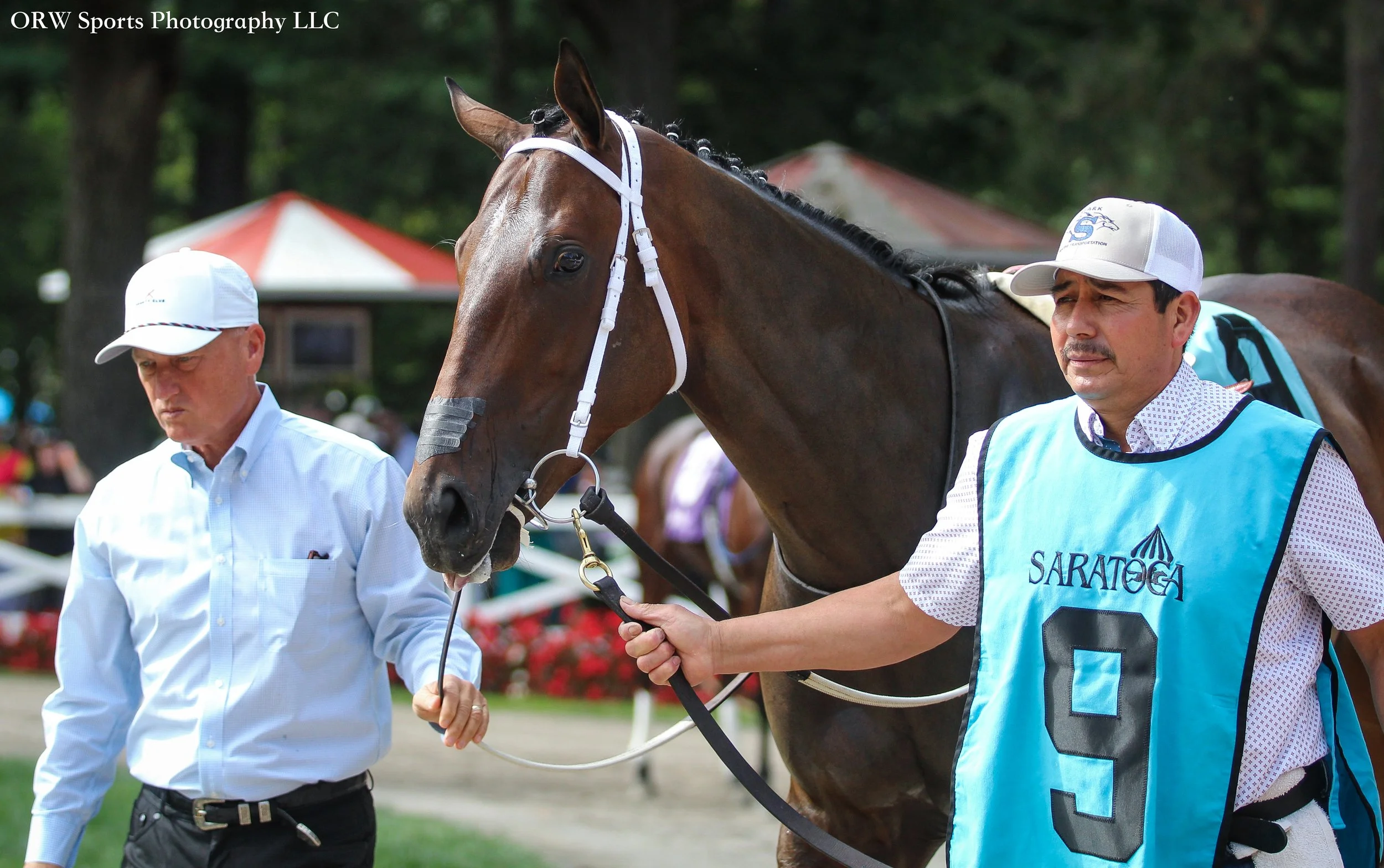 Pharocity 