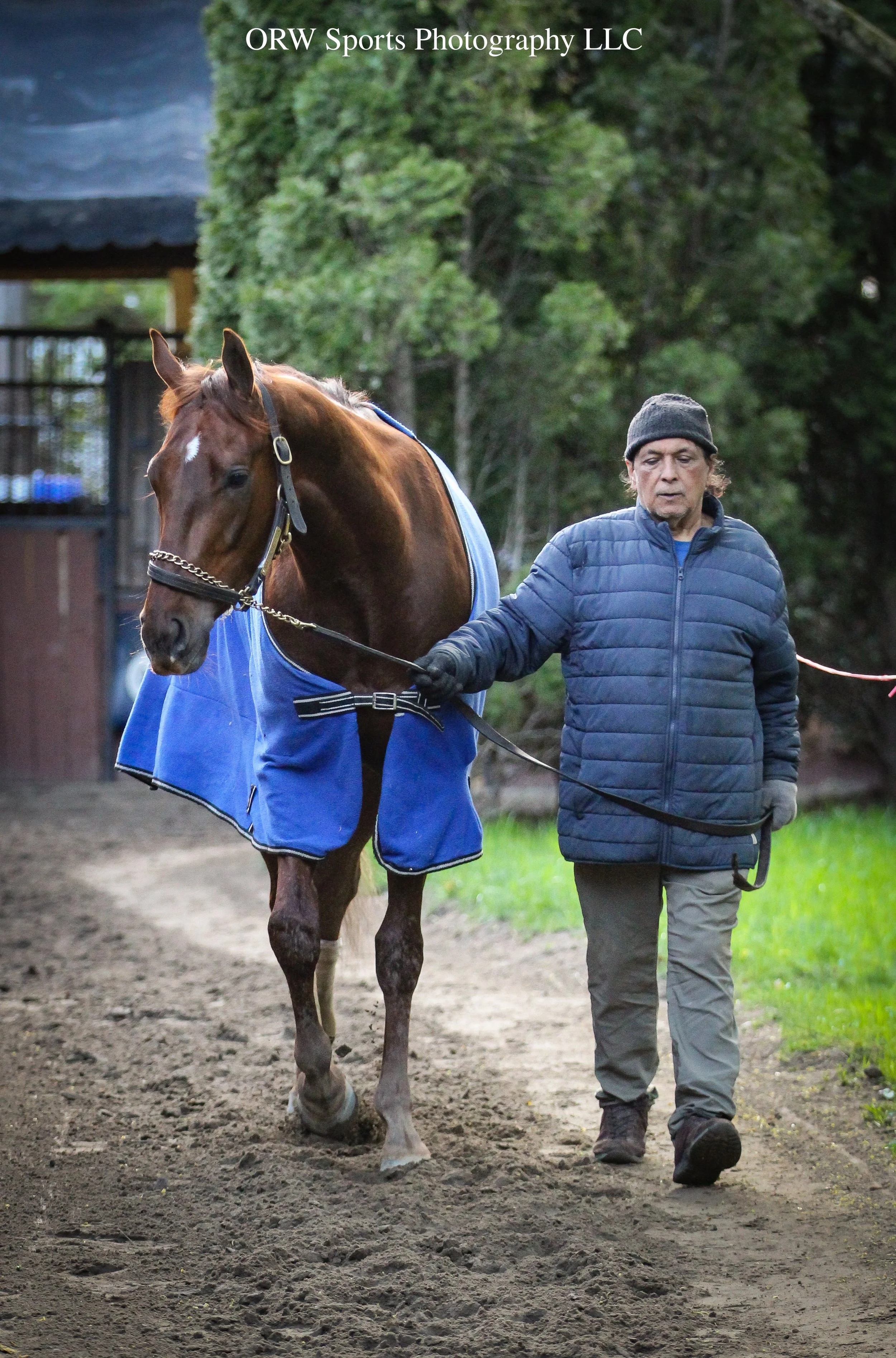 Maronetto 