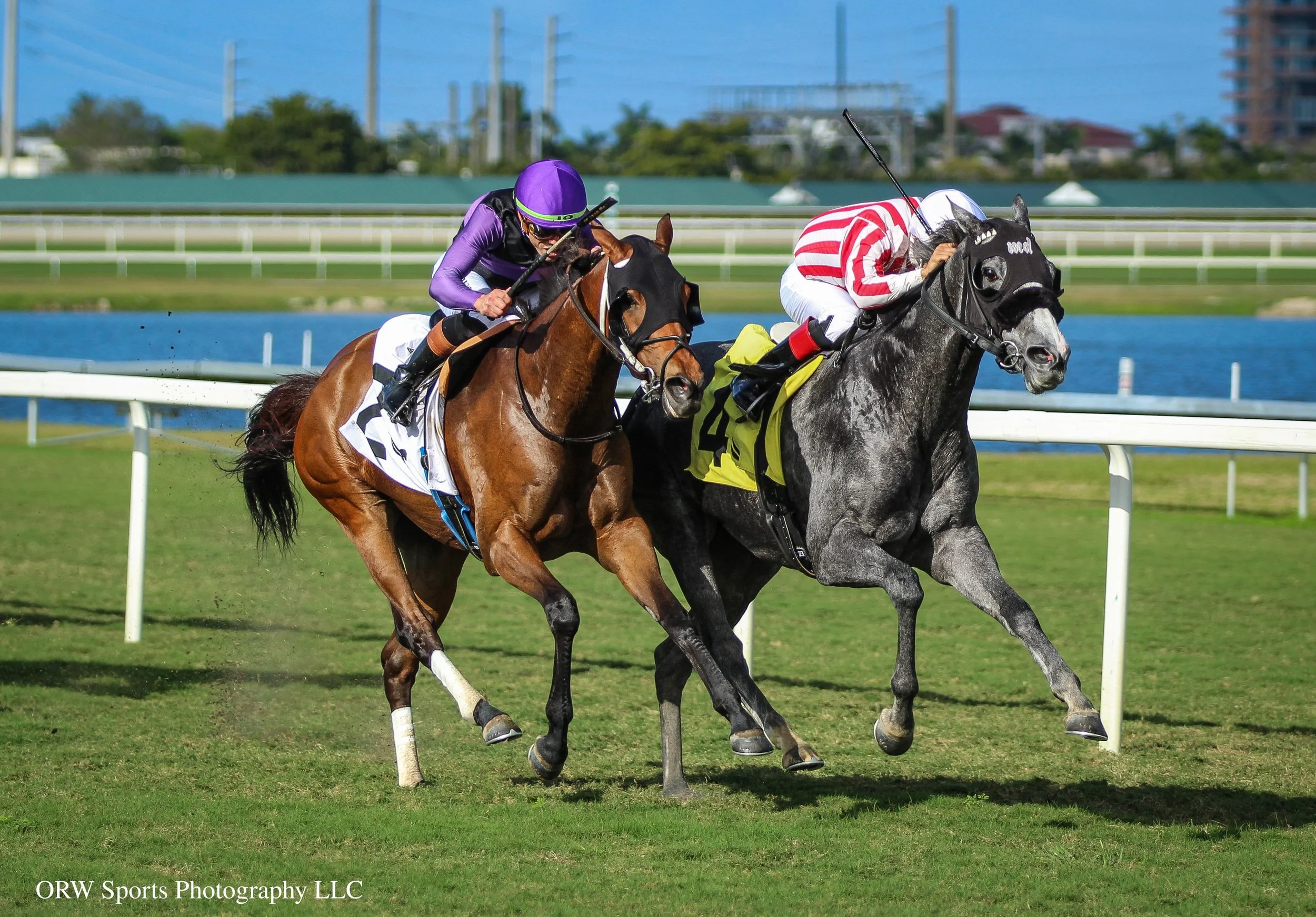 Zo Zucchera vs Logistics 