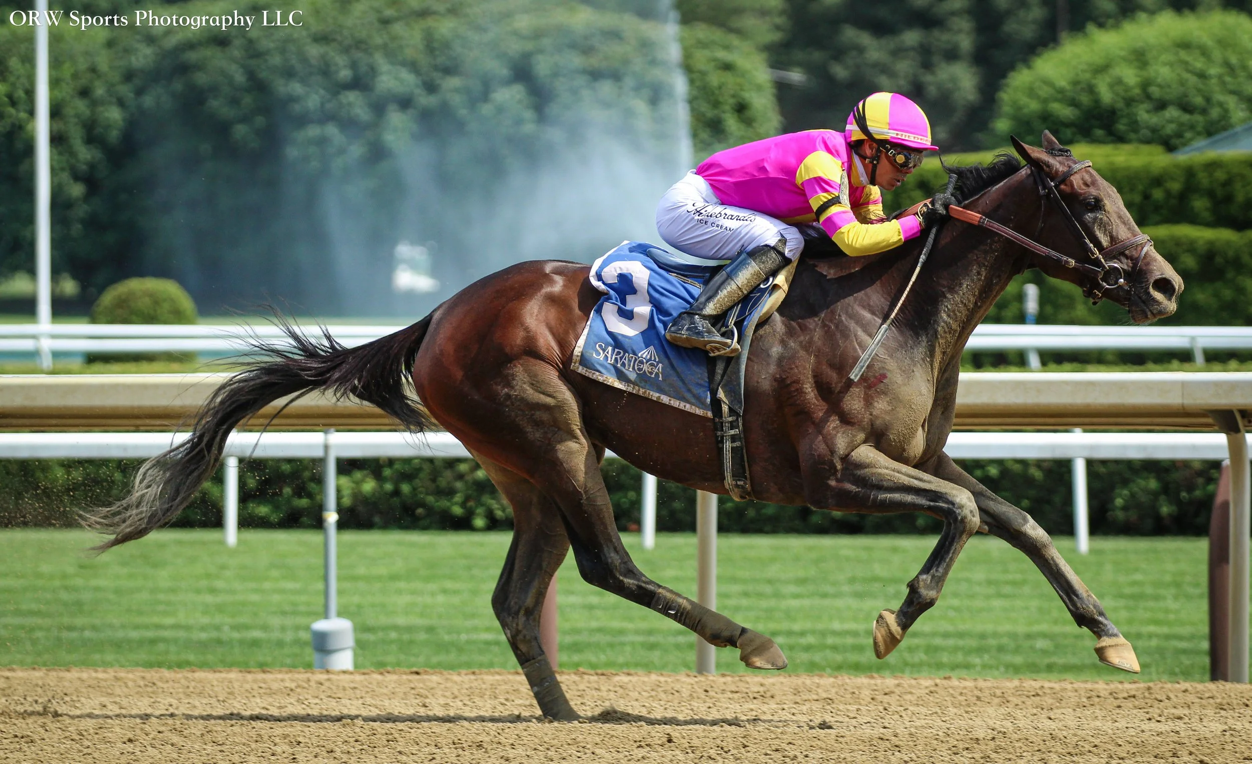 Soaring High and Jose Ortiz 