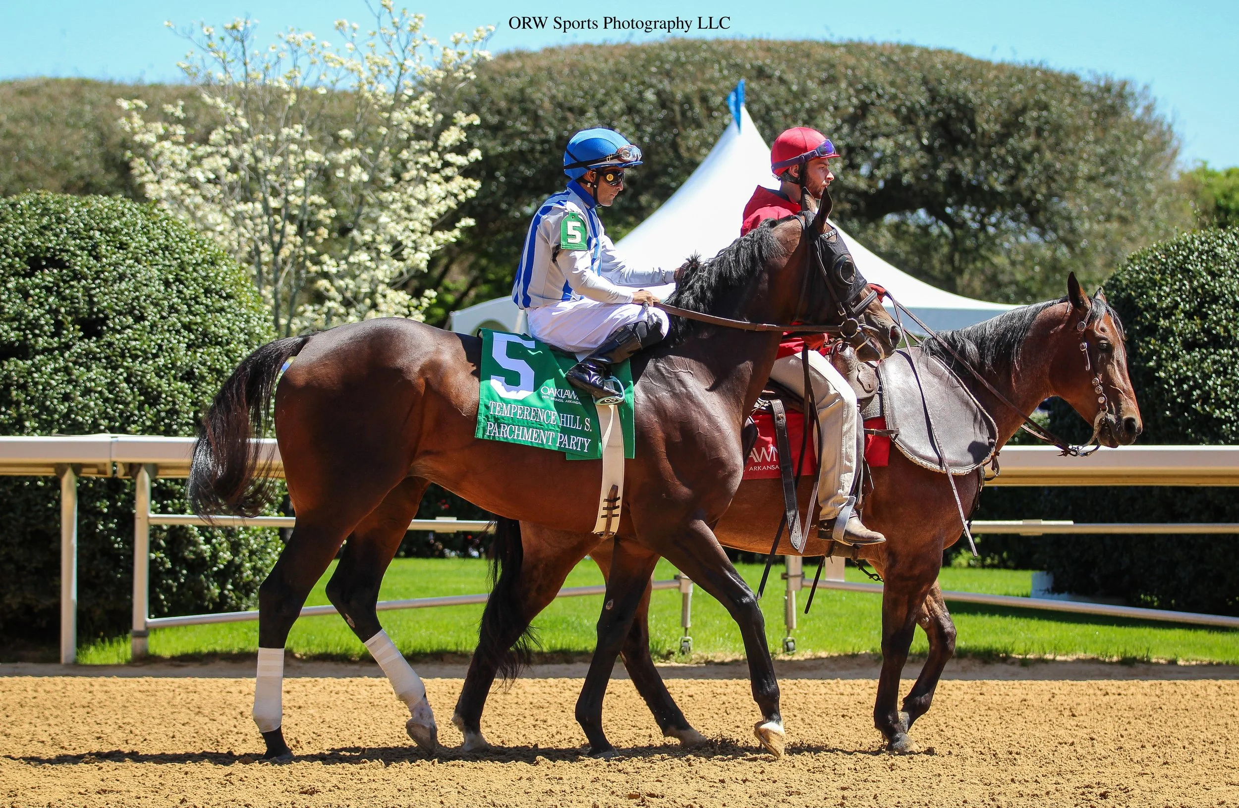 Parchment Party and Luis Saez 