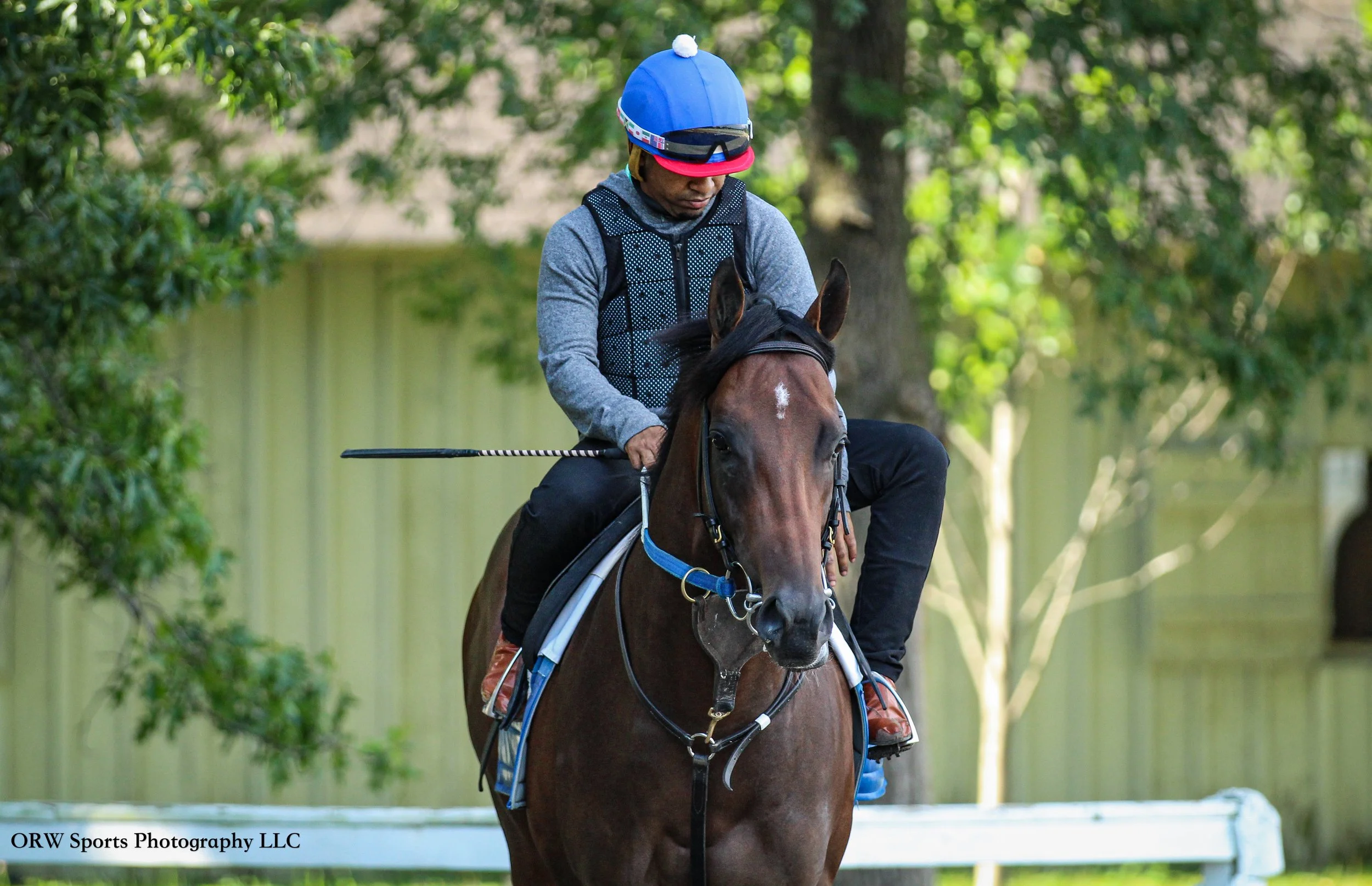 Steve Asmussen Trainee