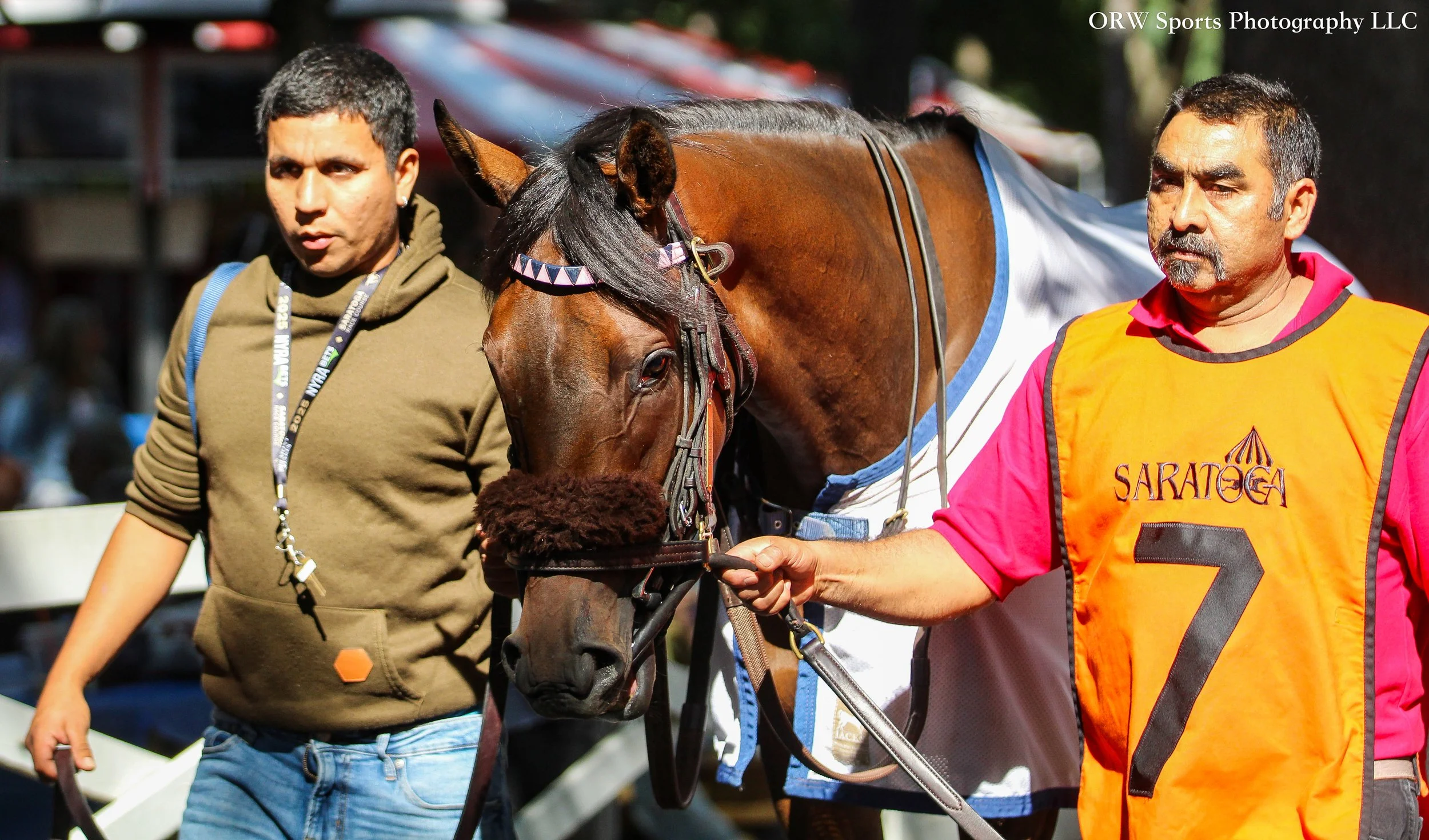 Valiant Diva 