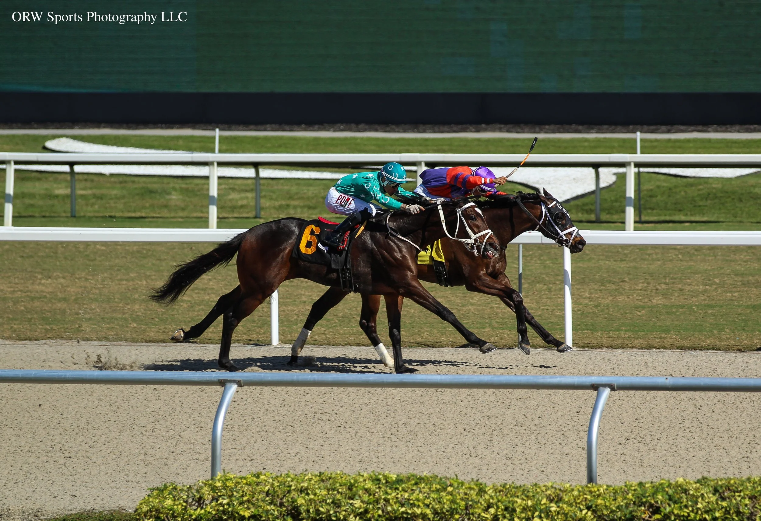 The Last Page duels win Win n Win 