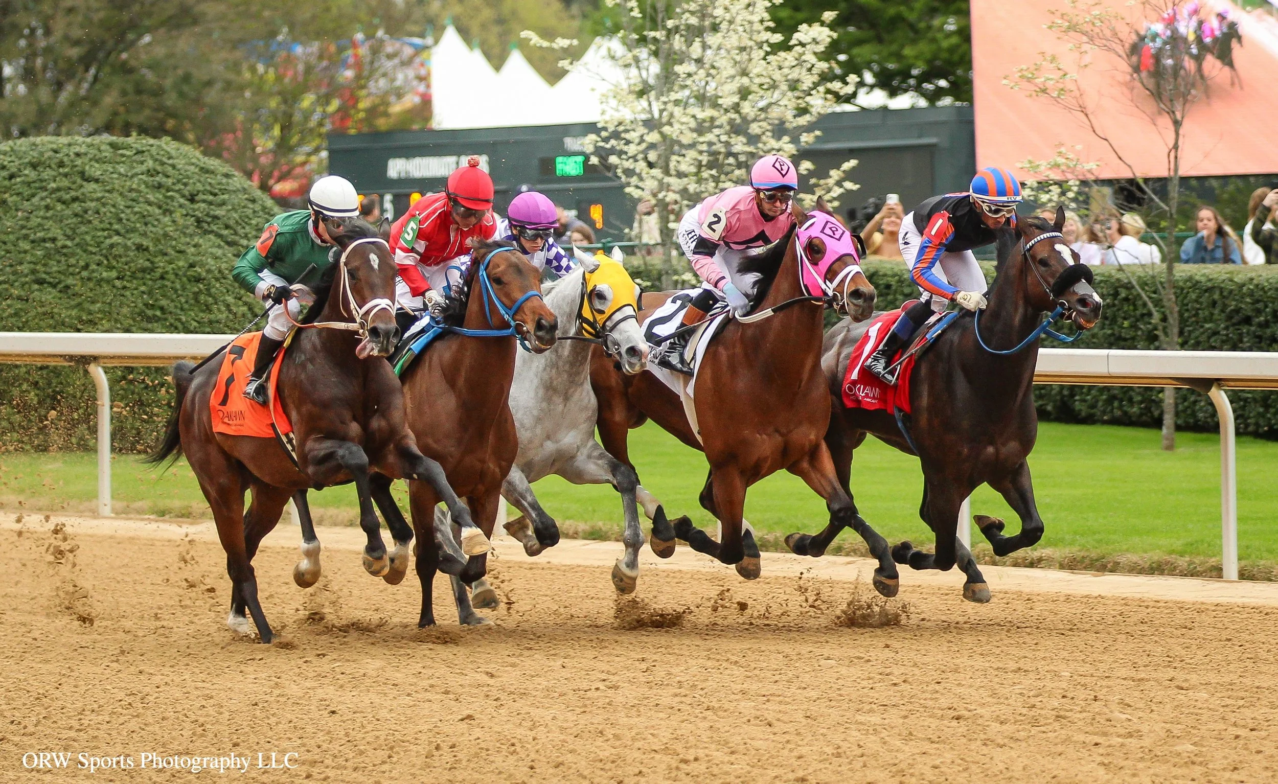 Race 3 