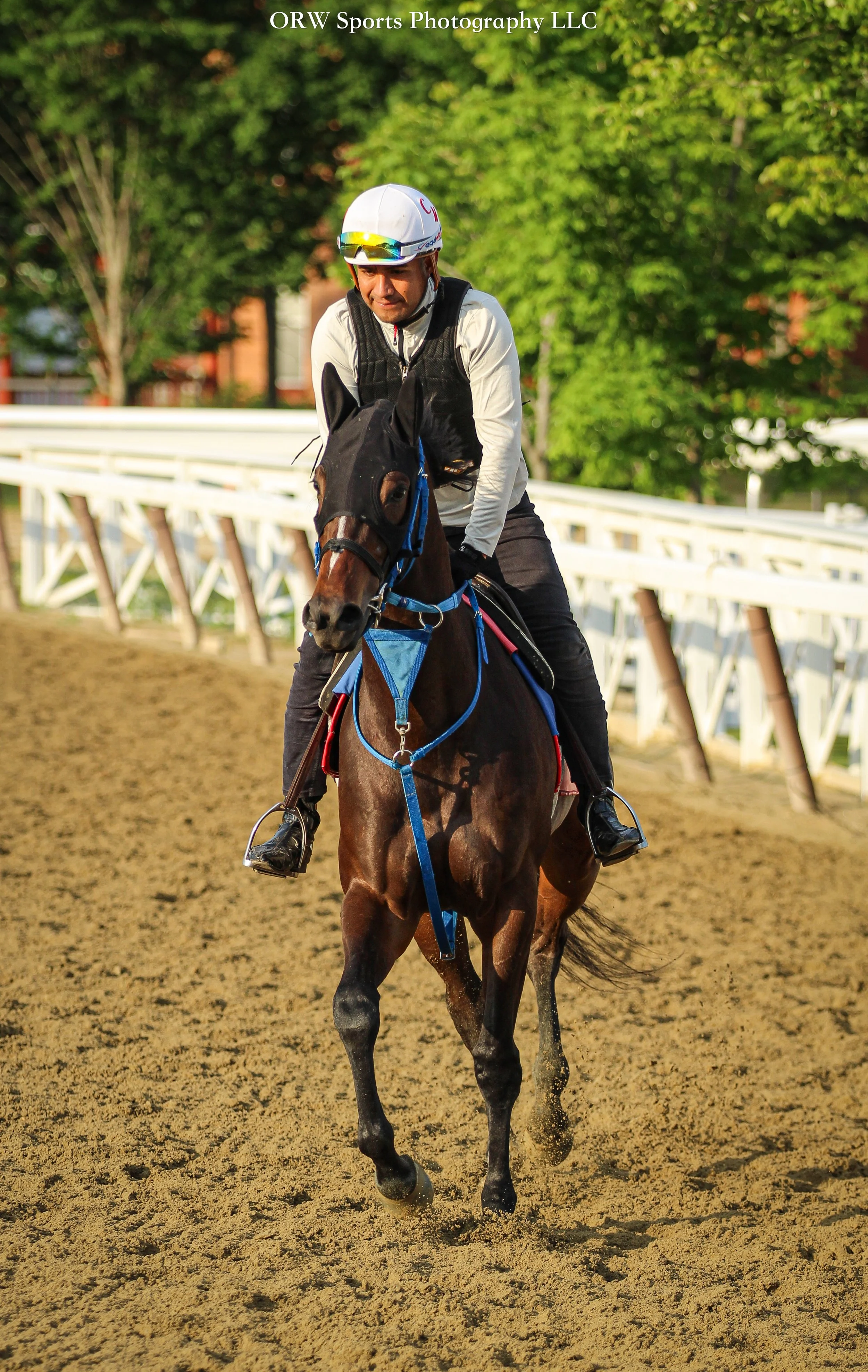 Carlos Martin Trainee 