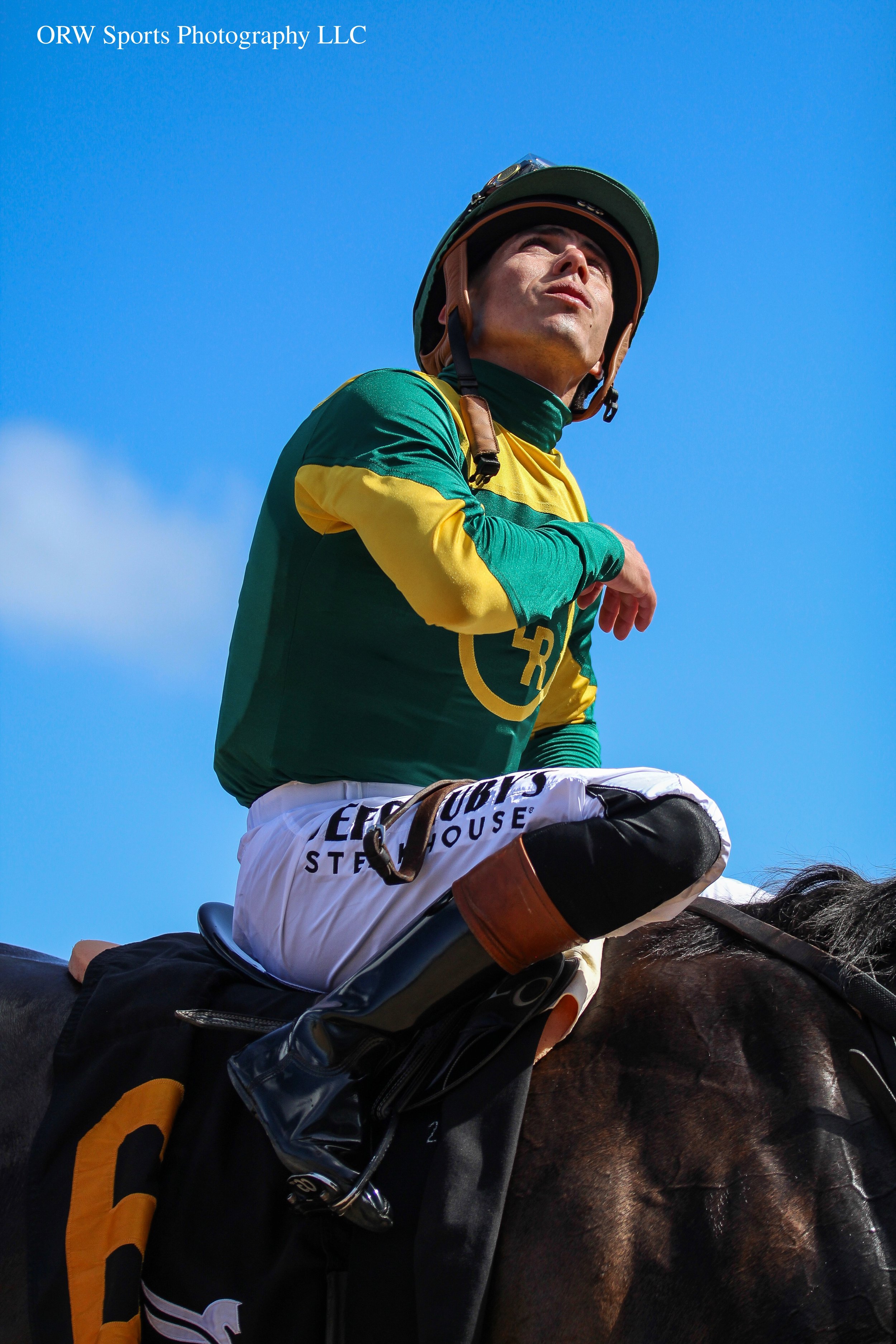Irad Ortiz Jr {La Rosa} 