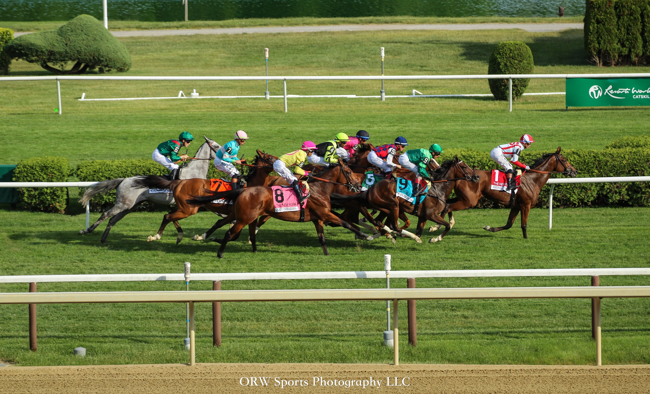 The Grade 1 New York Stakes