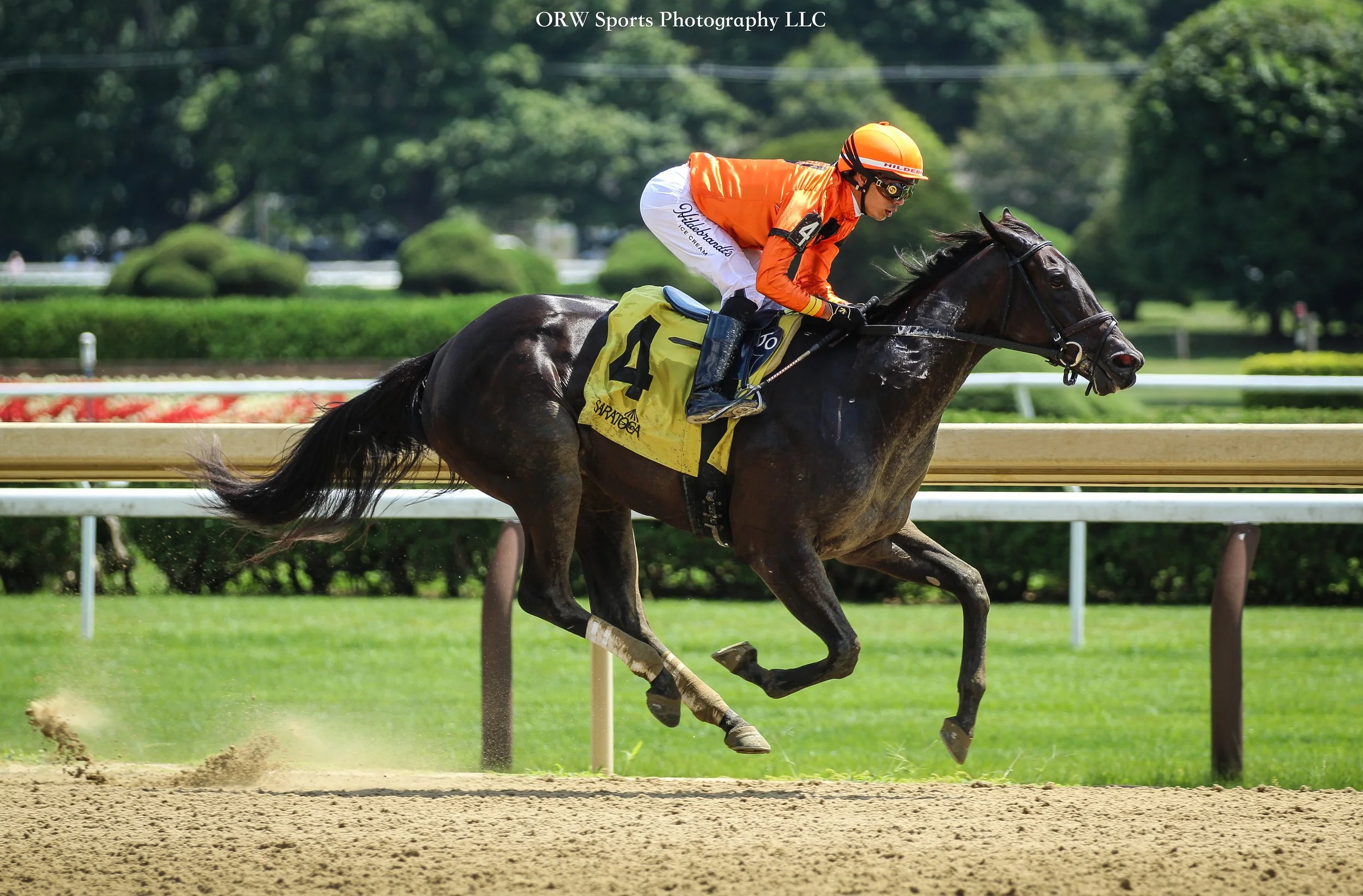 "Velora, as advertised." The Yaupon filly wins impressively on debut, and has a promising future ahead of her. 