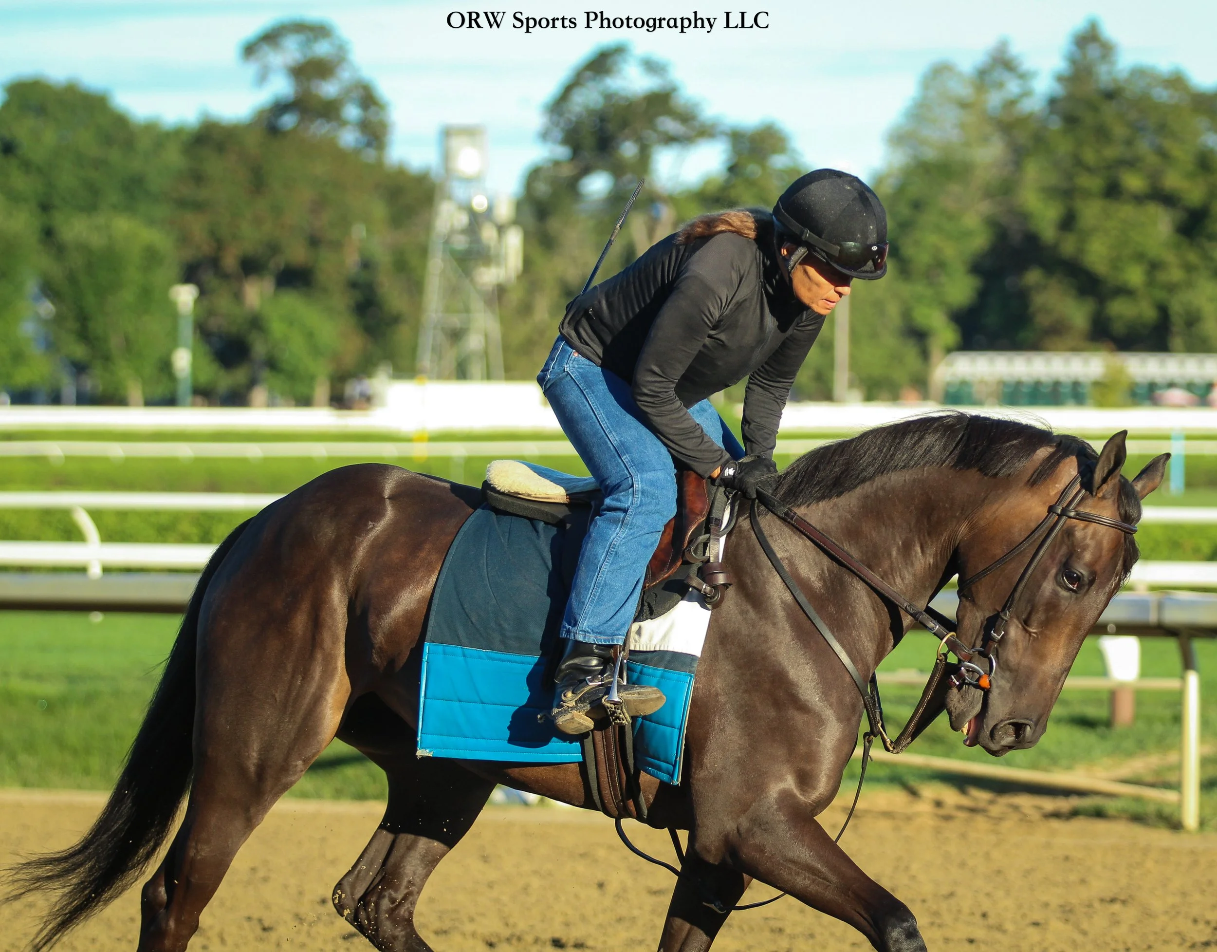 Lisa Bartkowski Trainee