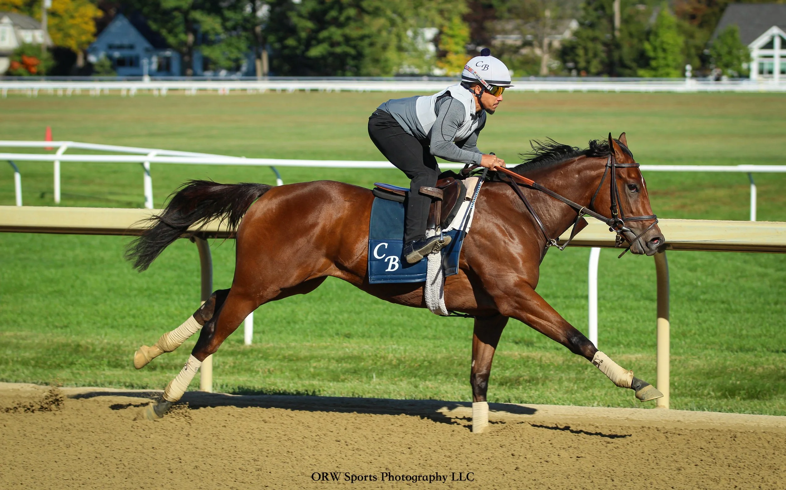 Chad Brown Trainee