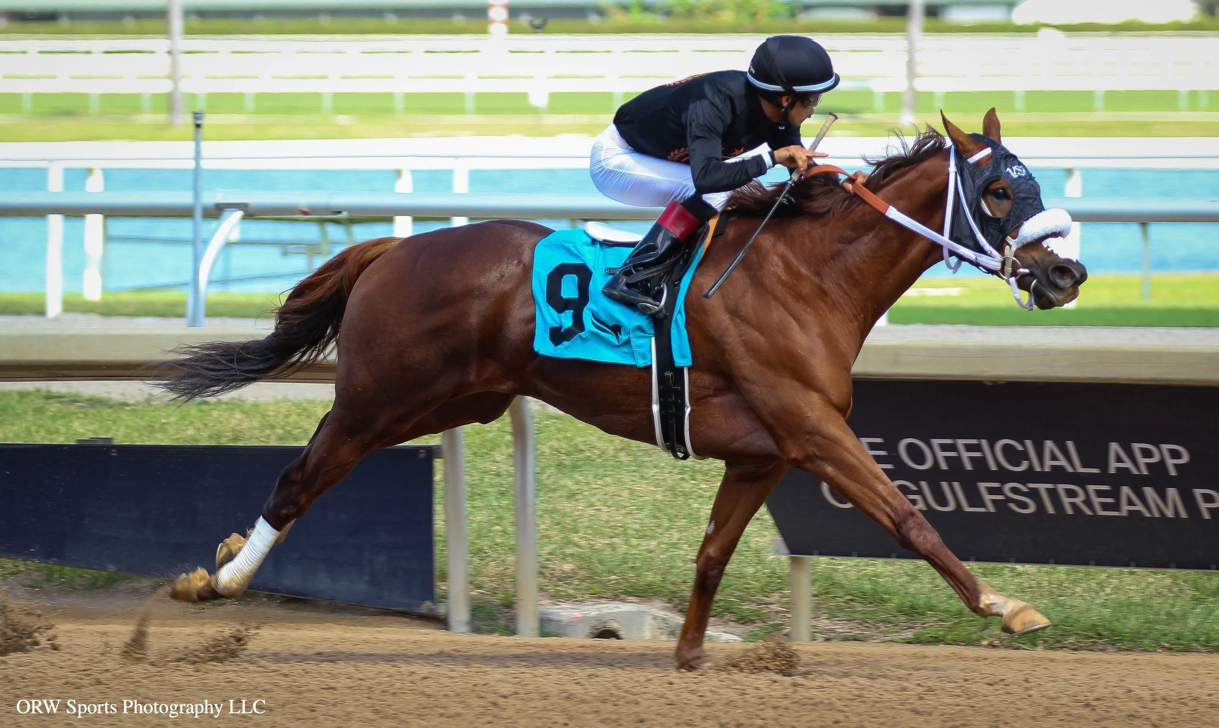 Simo and Edgard Zayas 