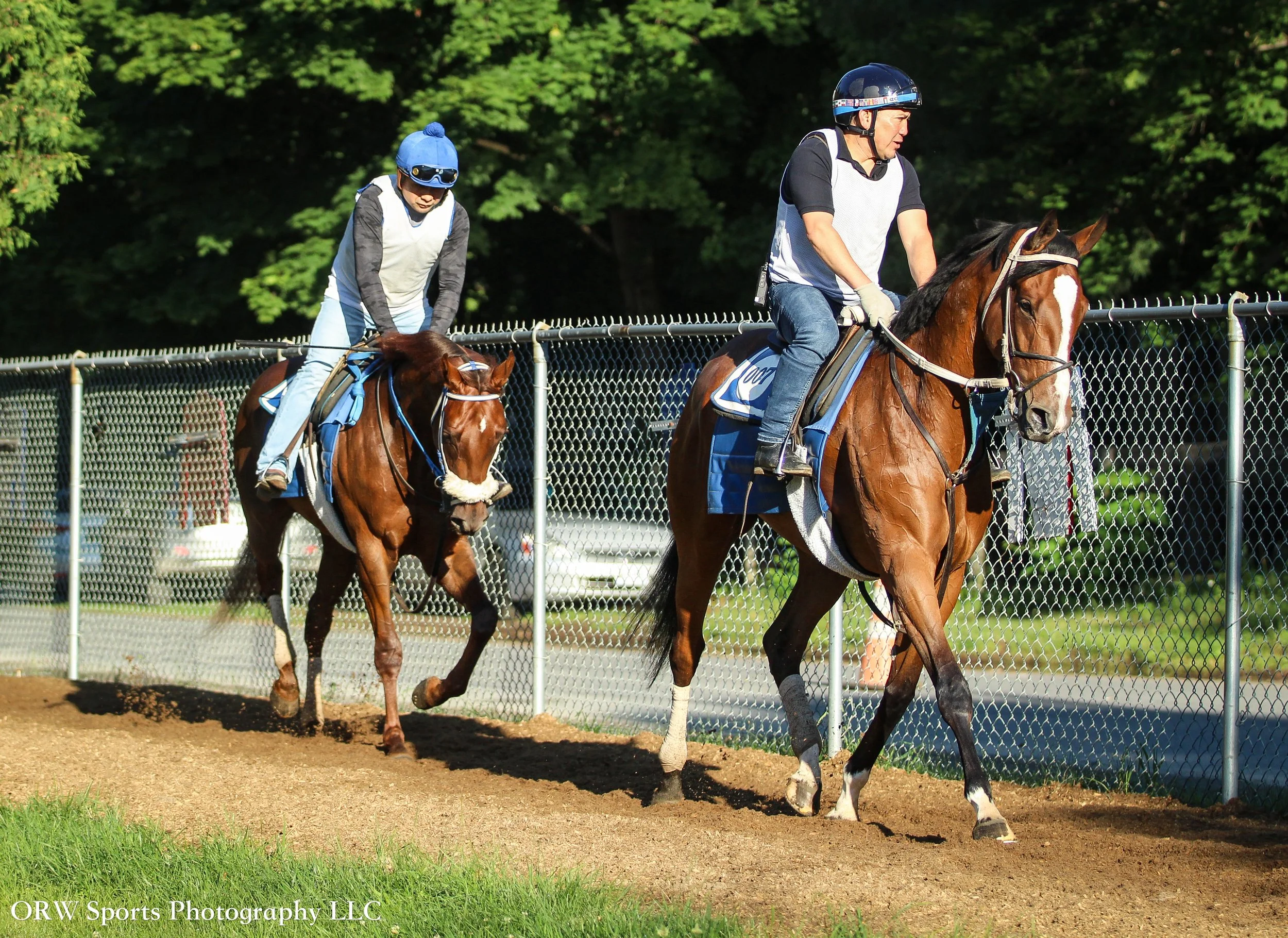 Marronetto and Montevertine