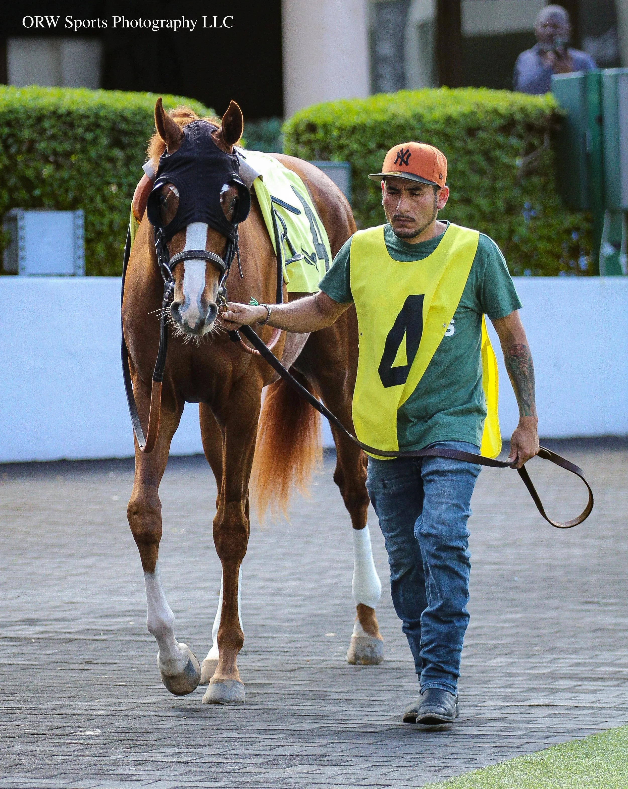 Noble Heritage (3).jpg