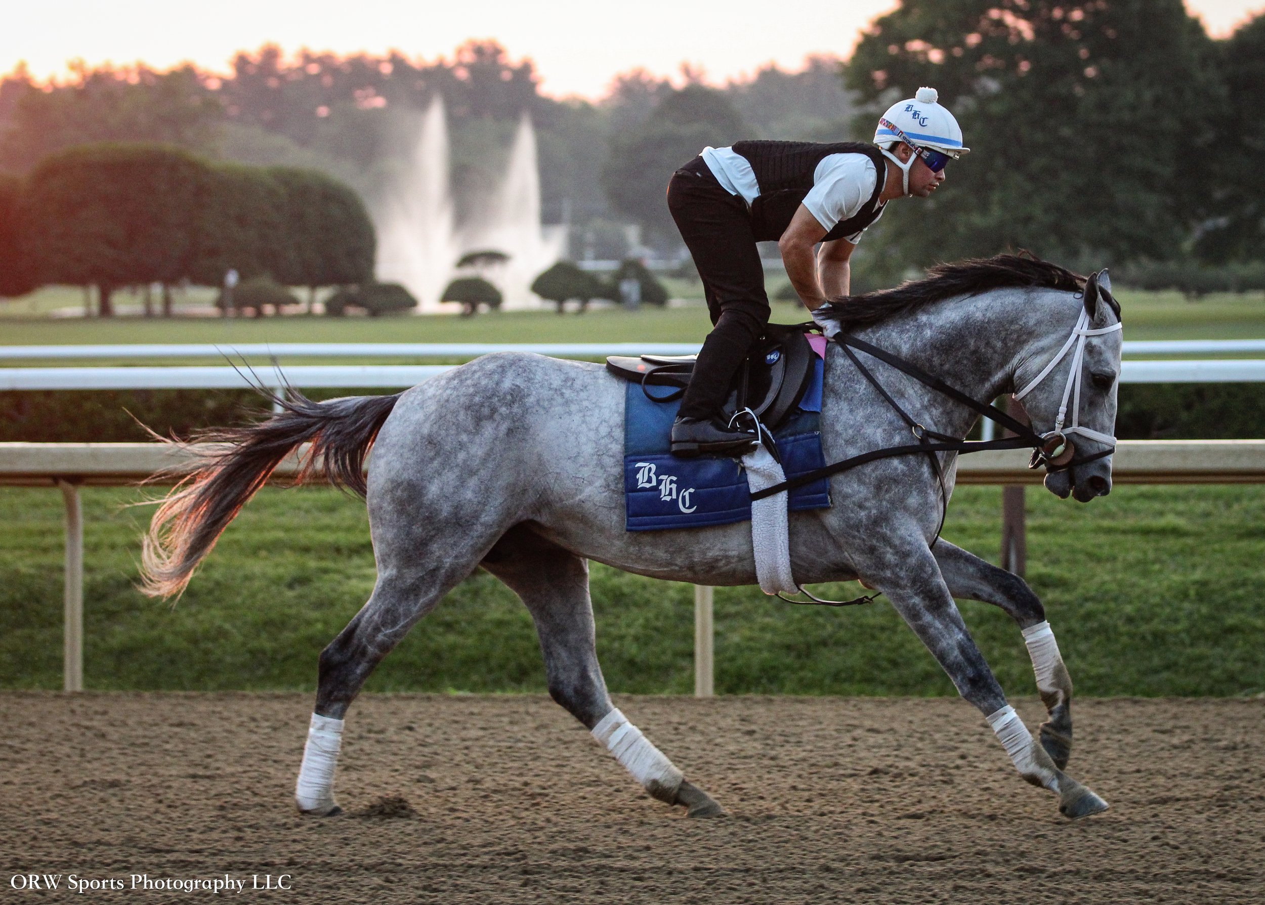 Hit Show. Winner of the 2025 Dubai World Cup