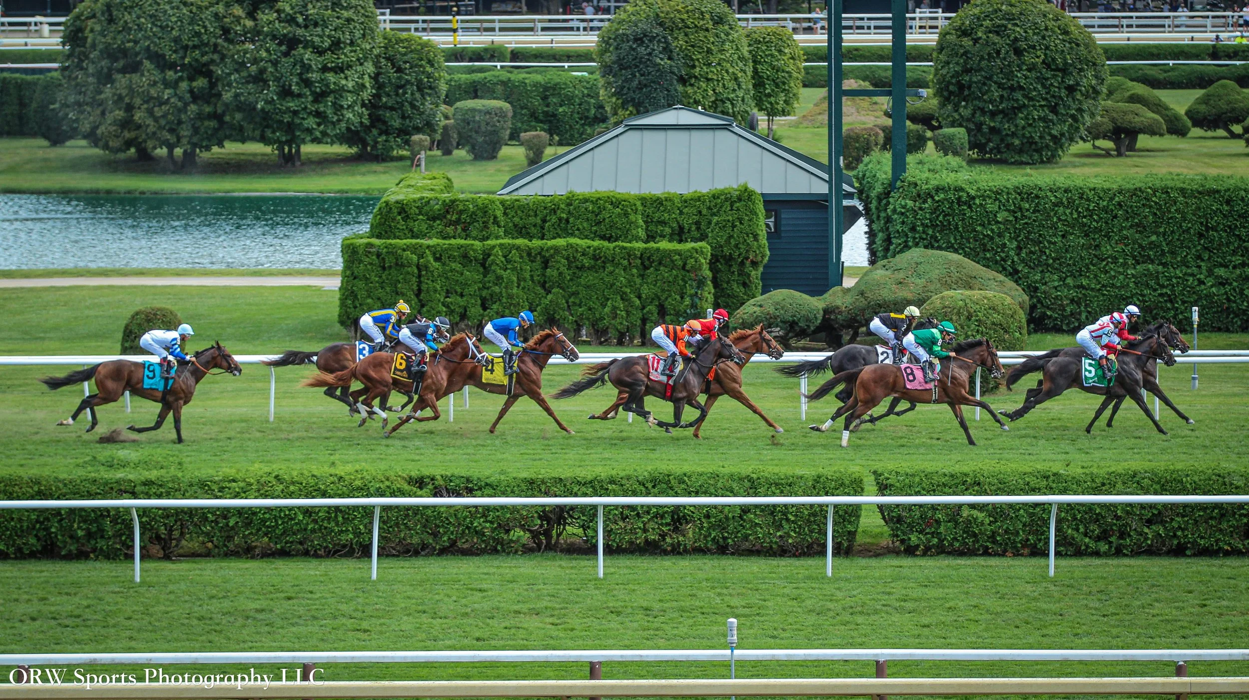 Race 8 