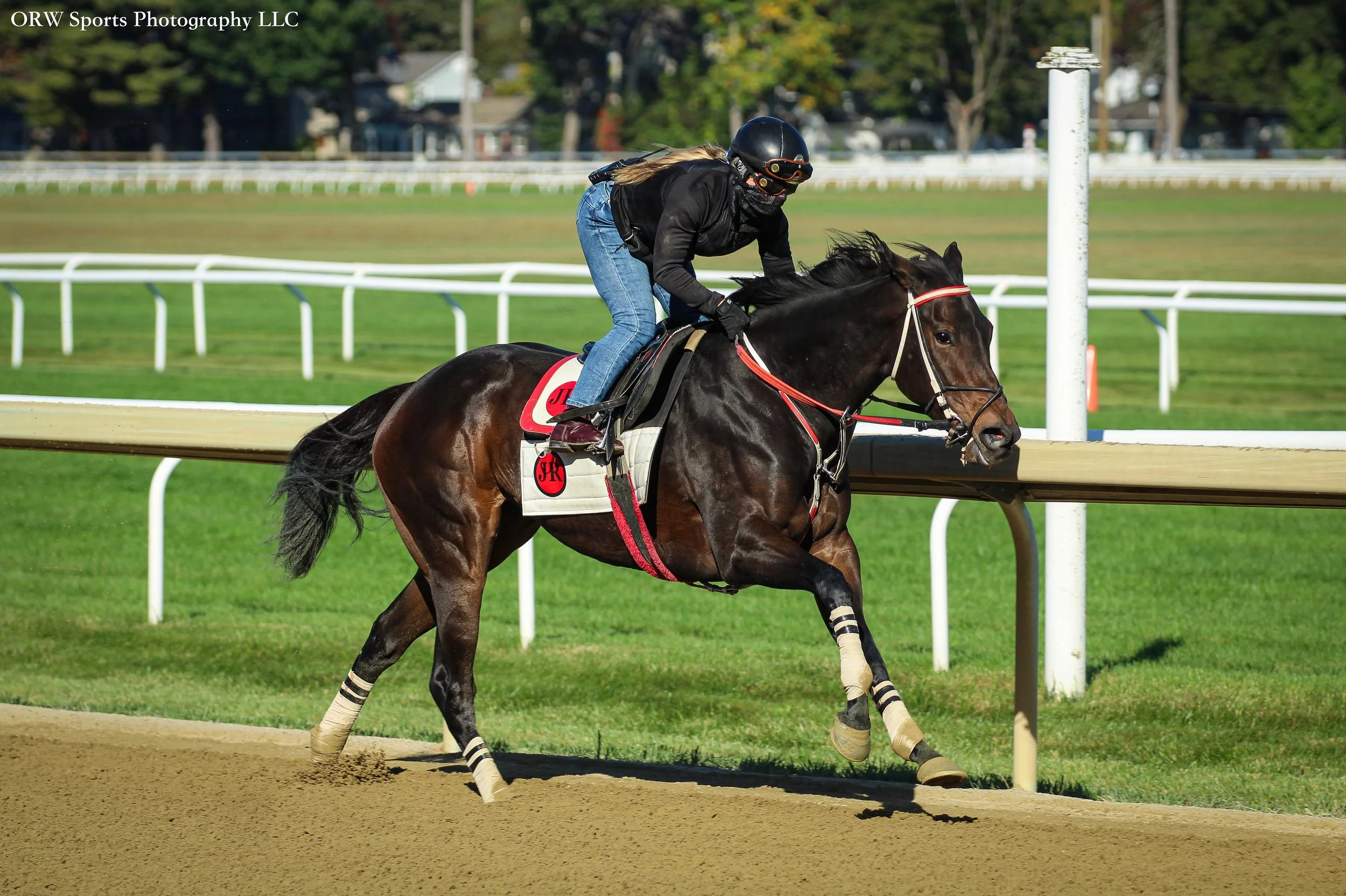 Robert Falcone Trainee