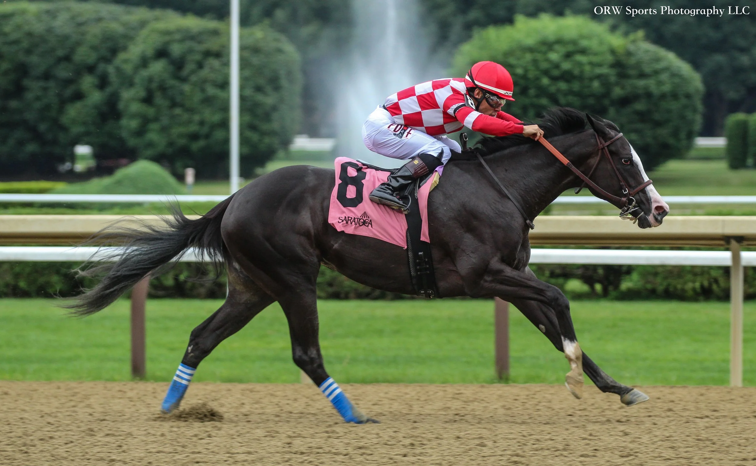 Stress Relief and Junior Alvarado (3) .jpg