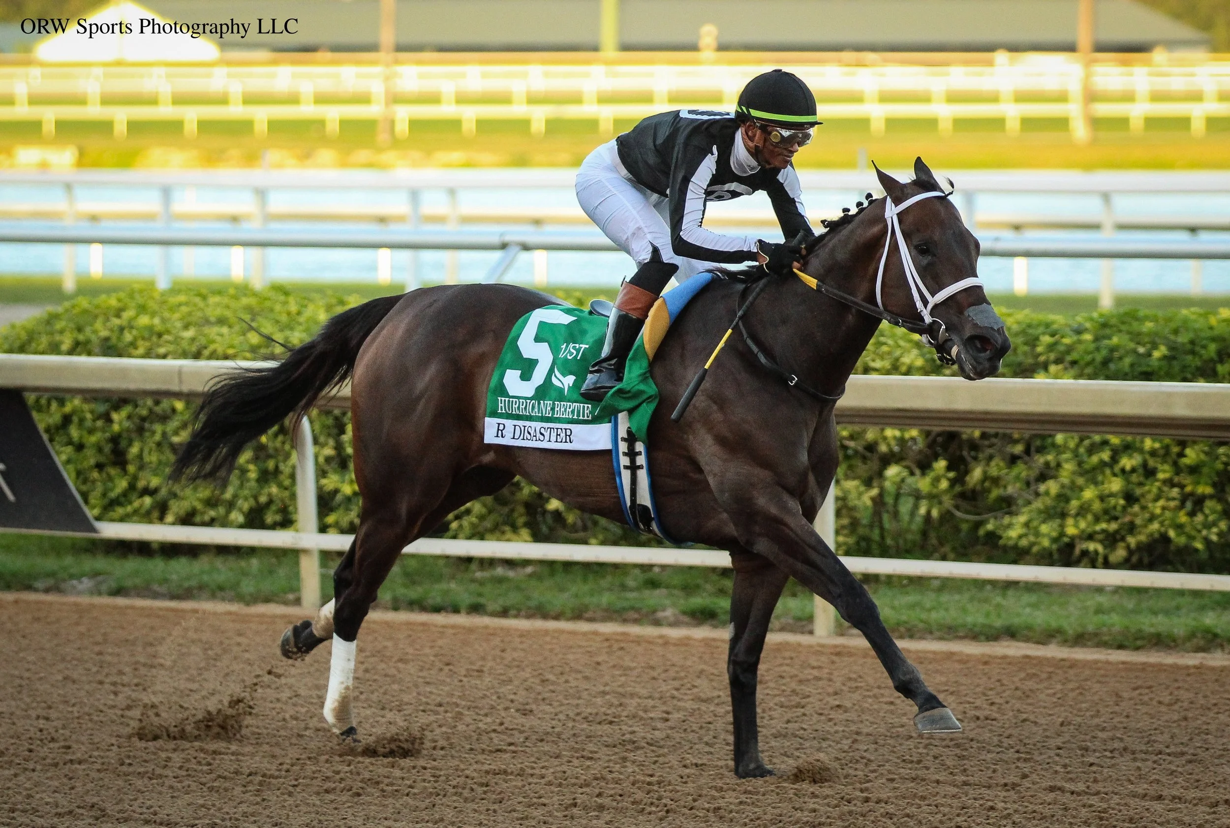 R Disaster takes the Grade 3 Hurricane Bertie Stakes. Micah Husbands aboard for trainer Saffie Joseph Jr