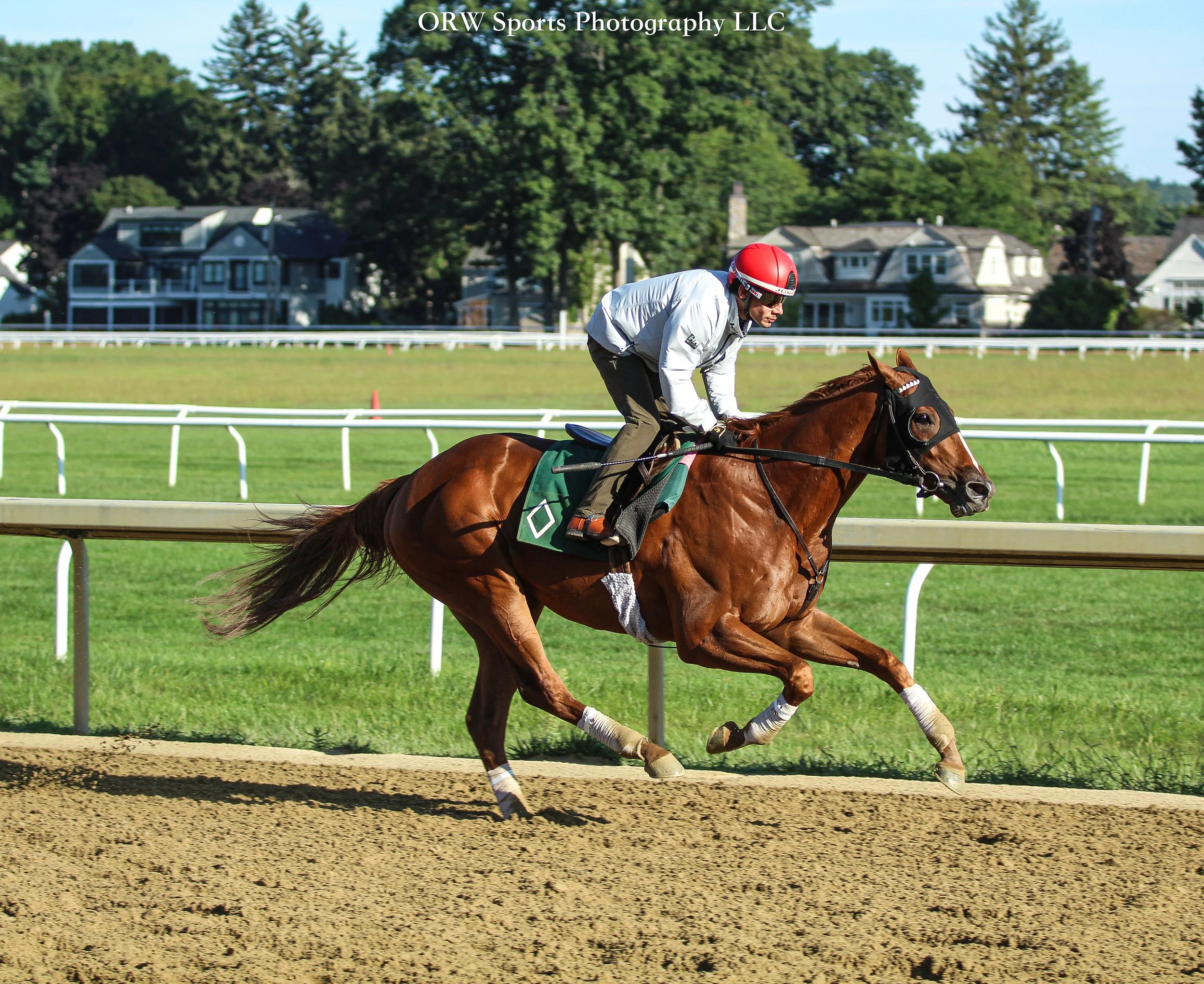 Gilded Bandit and Junior Alvarado (5) .jpg