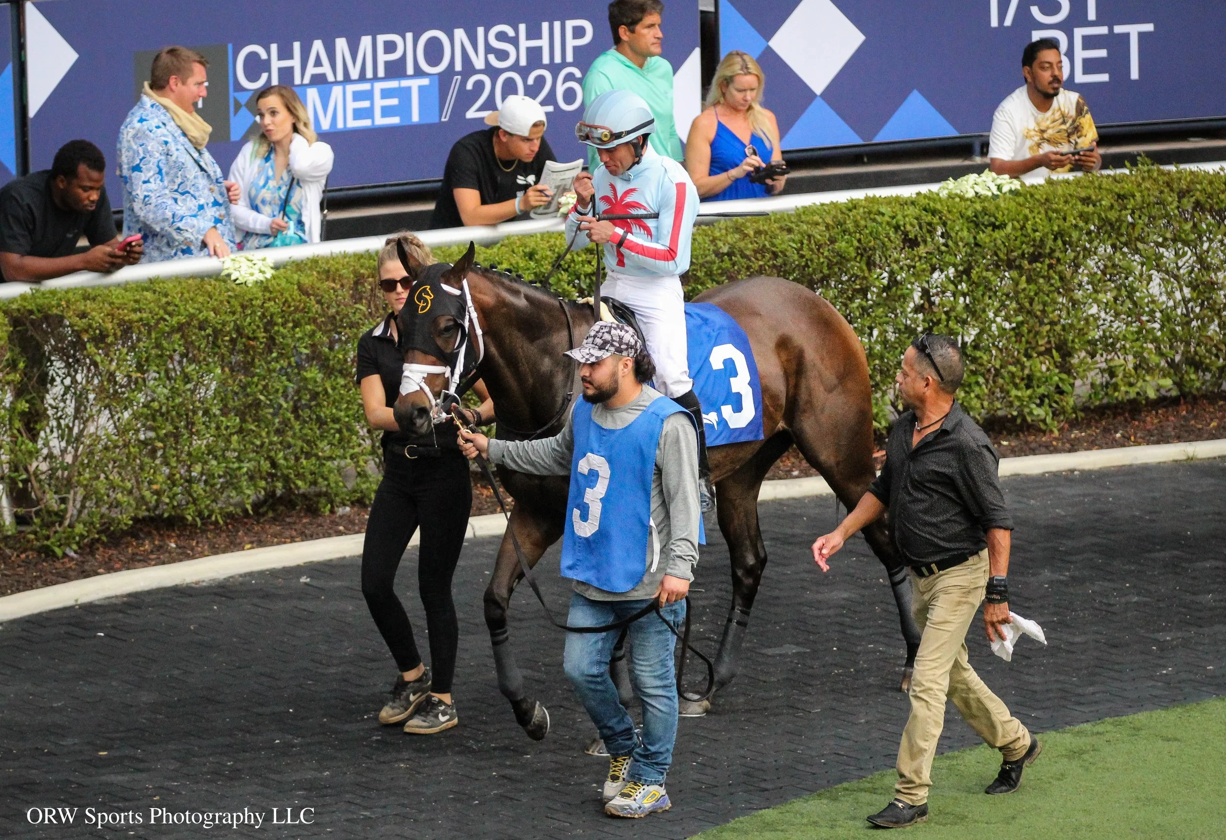 Miss Mary Nell and company 