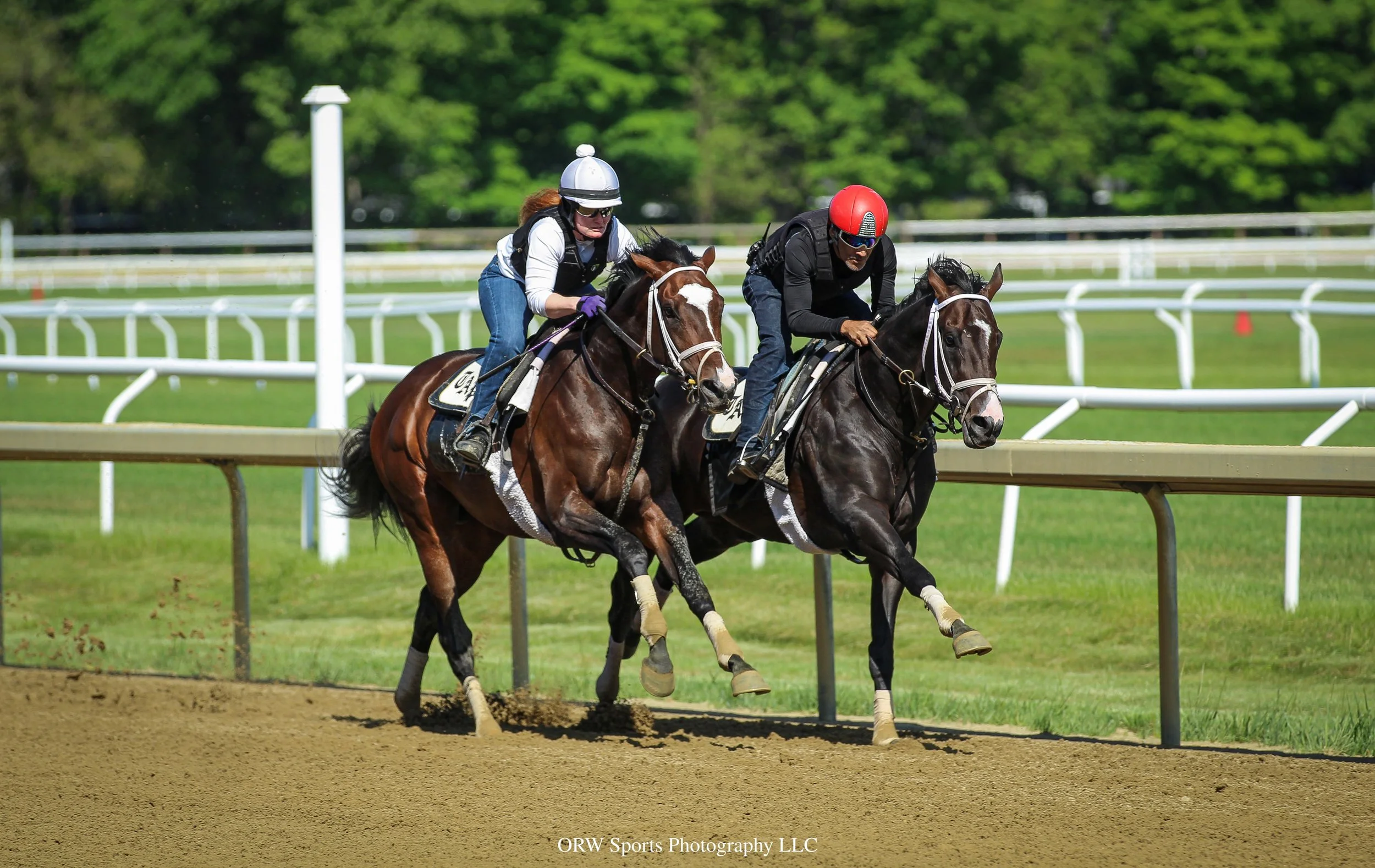 Grand Sonata breezing in company (1).jpg