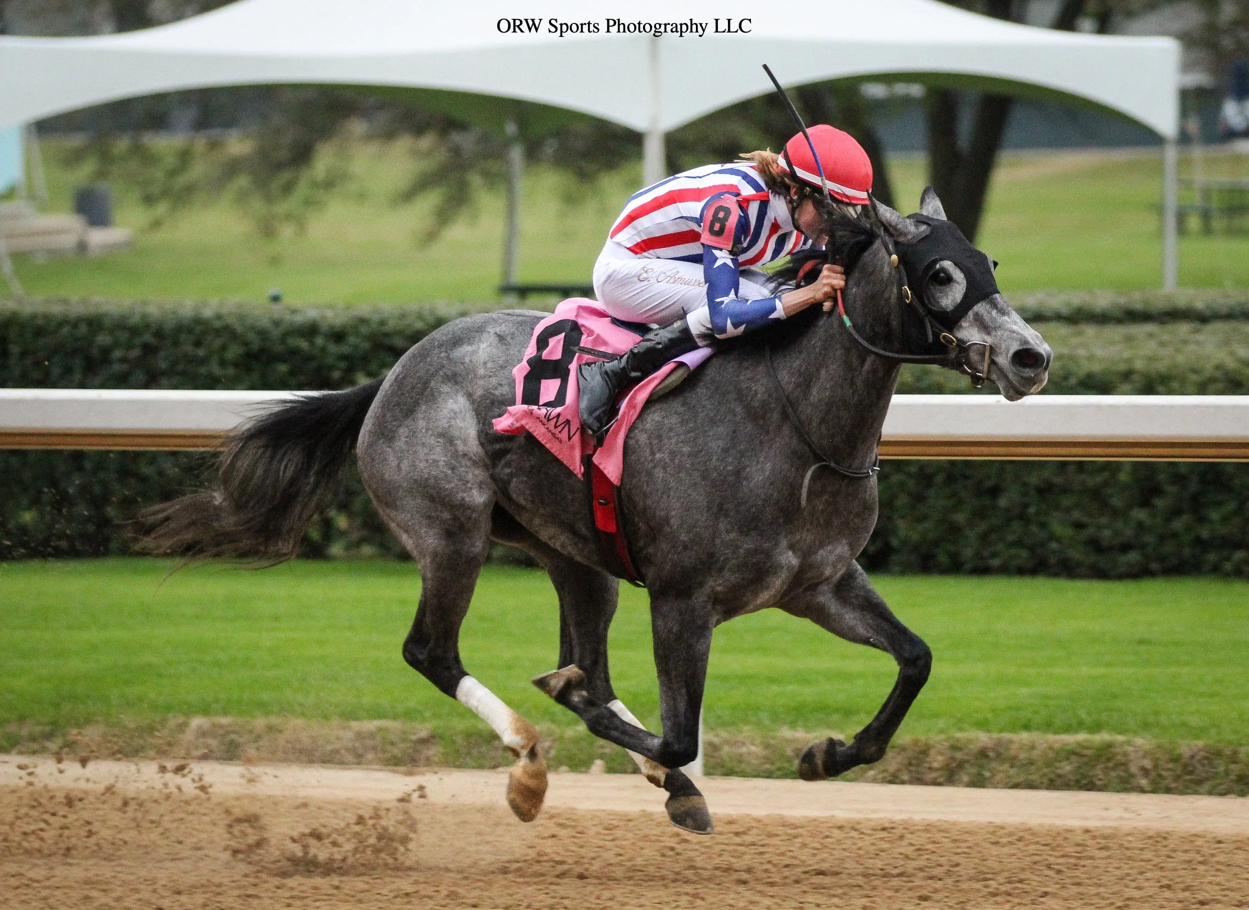 Lady Belle and Erik Asmussen win the nightcap 