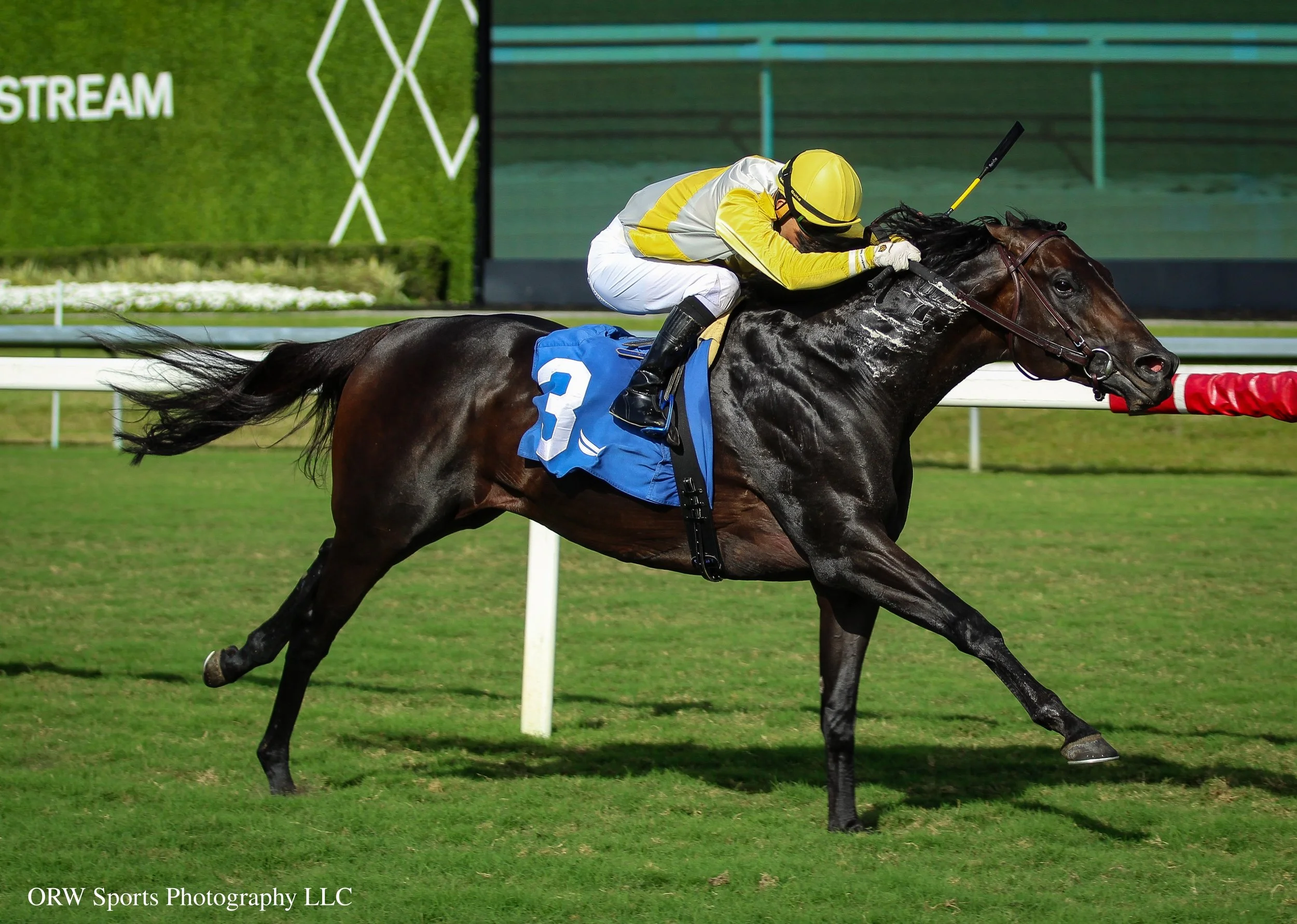 Litigation and Mario Gutierrez take the Silks Run Stakes for trainer Brian Lynch