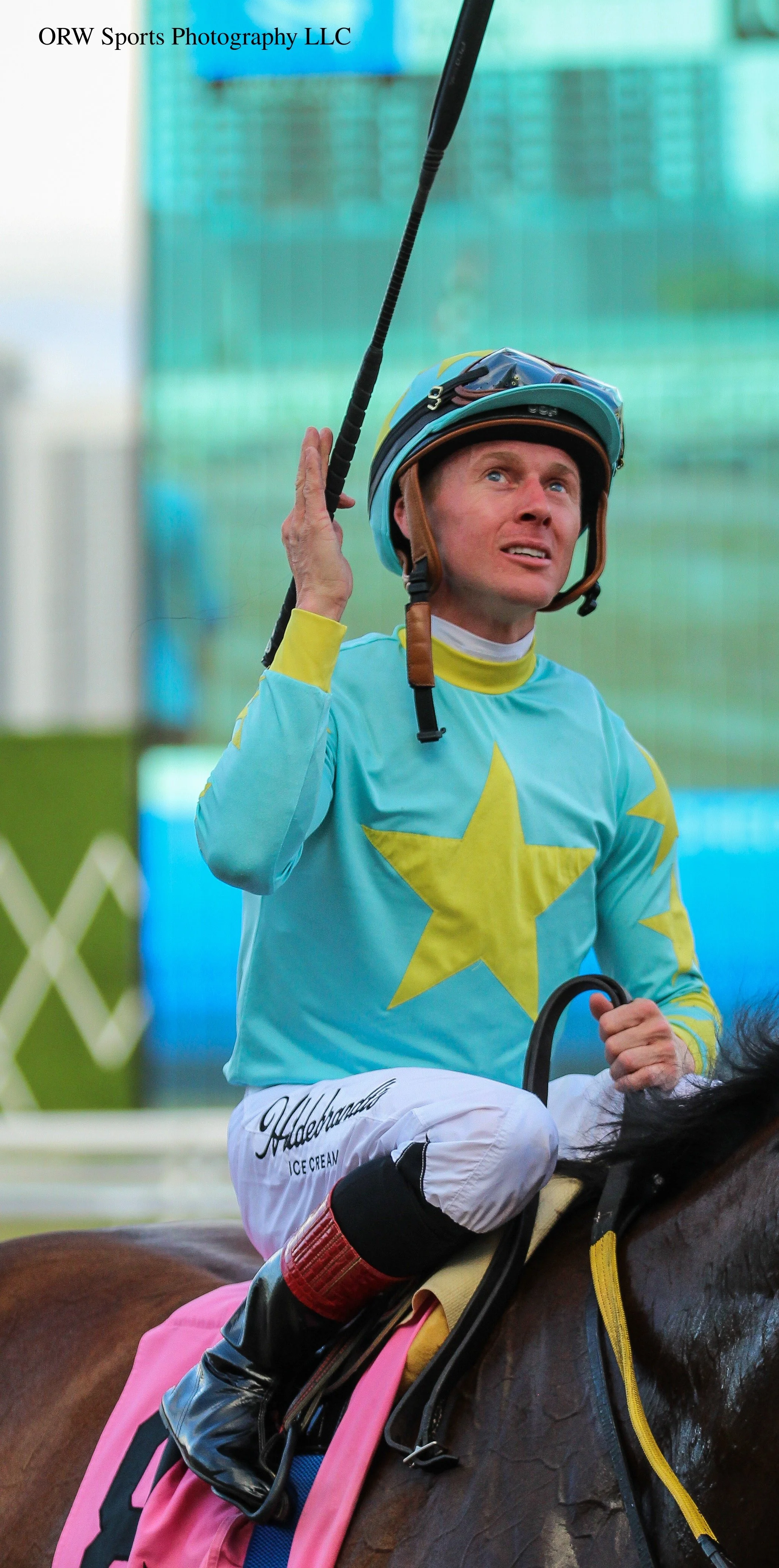 {Shining Stables LLC} 