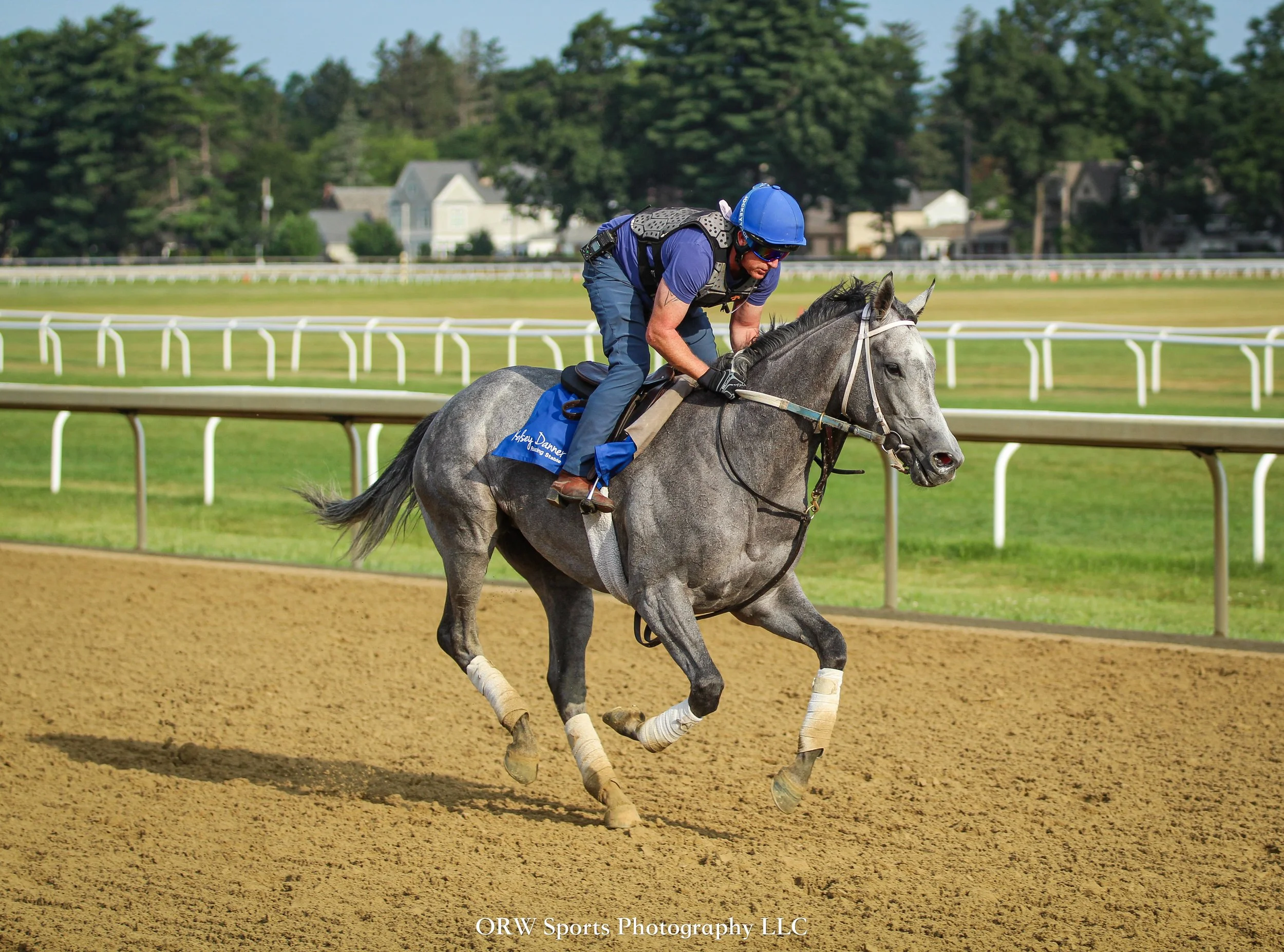 Lovely Grey is back on track to train after her spill in the Wild Applause stakes. 