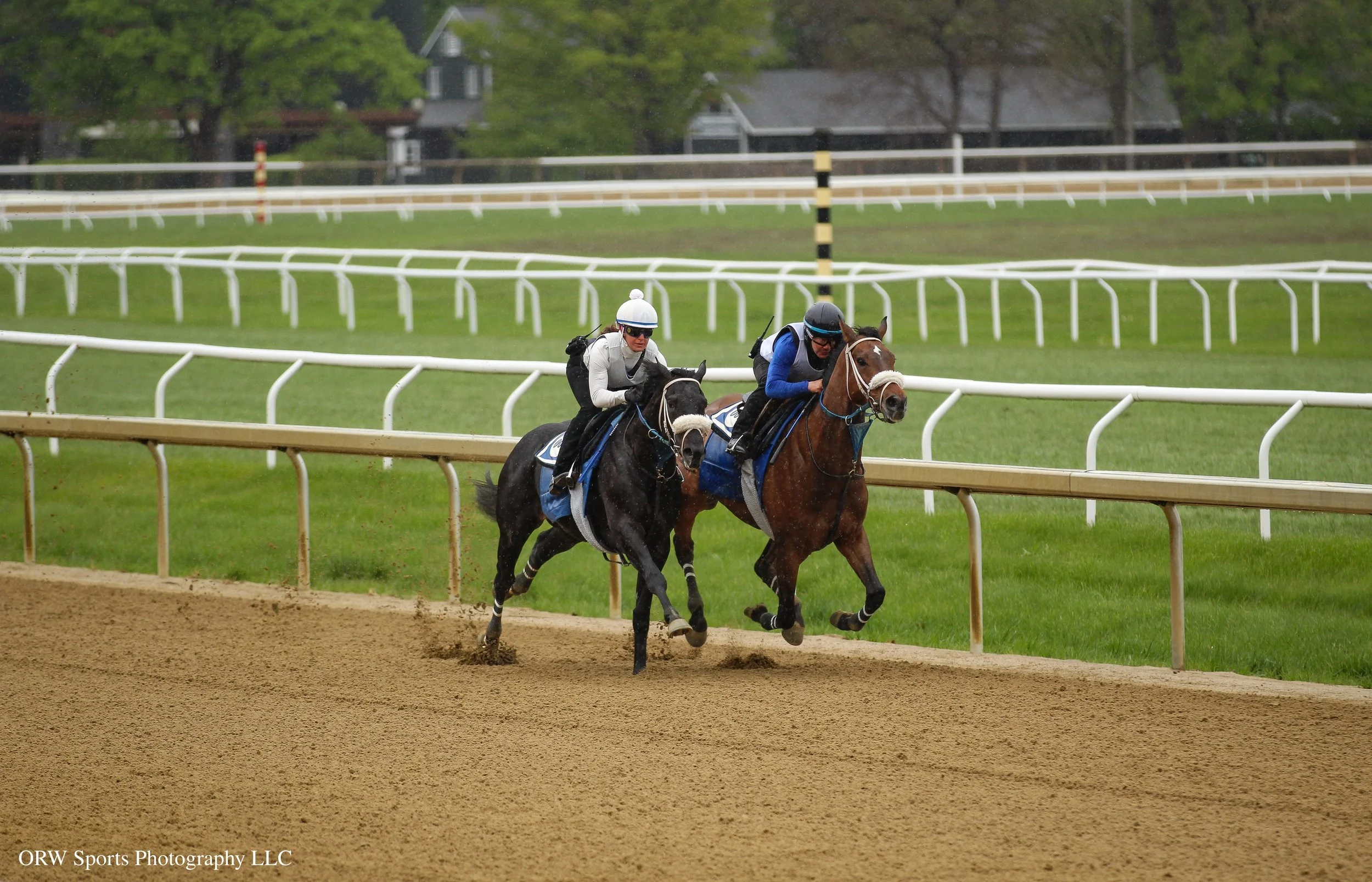 Runcot (left) and Petrolo