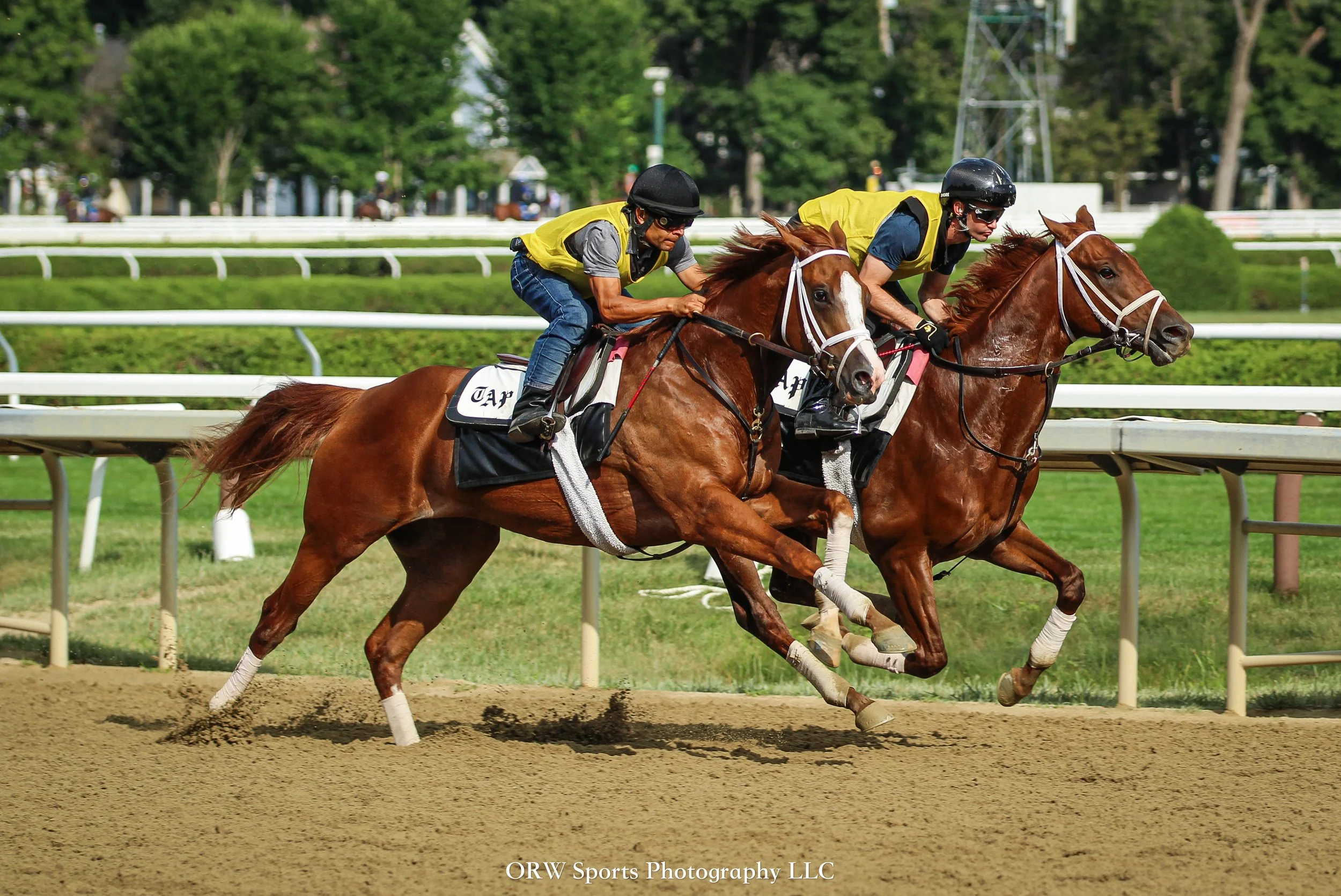 Todd Pletcher Trainees. Flavien Prat aboard on the inside