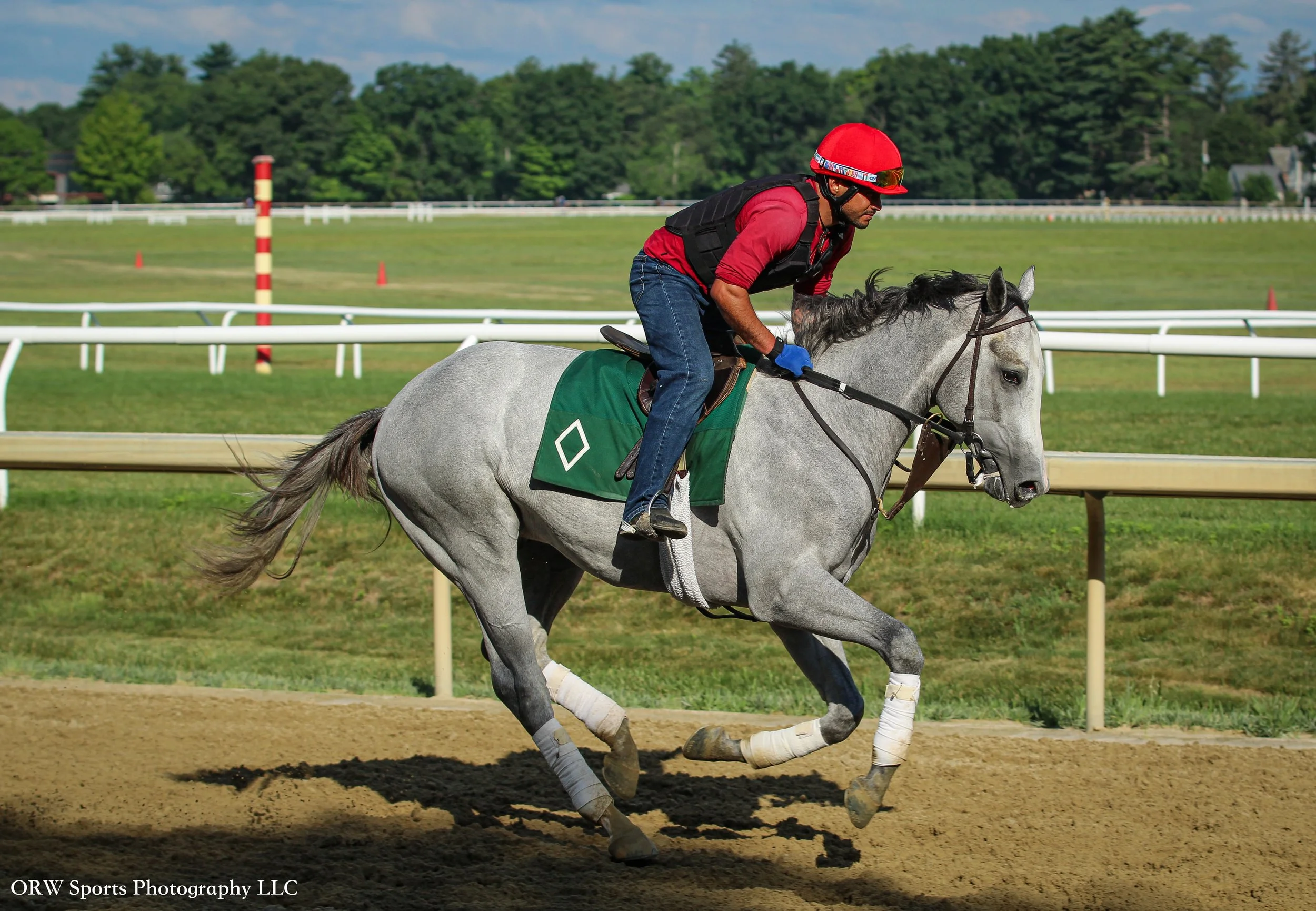 Bill Mott Trainee