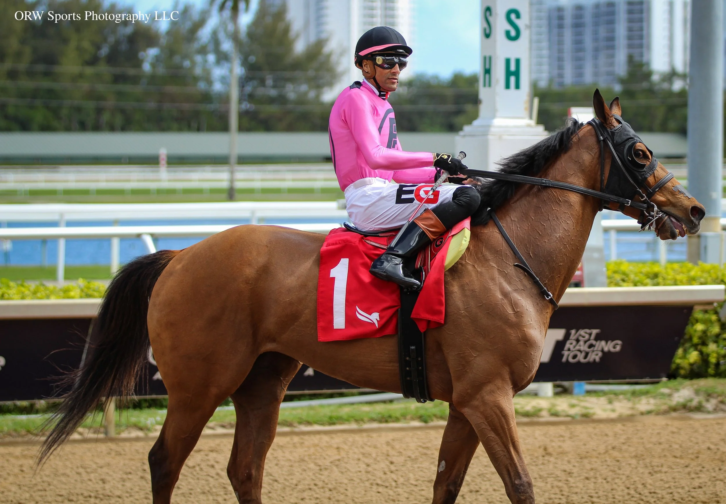 War Warrior and Edwin Gonzalez 